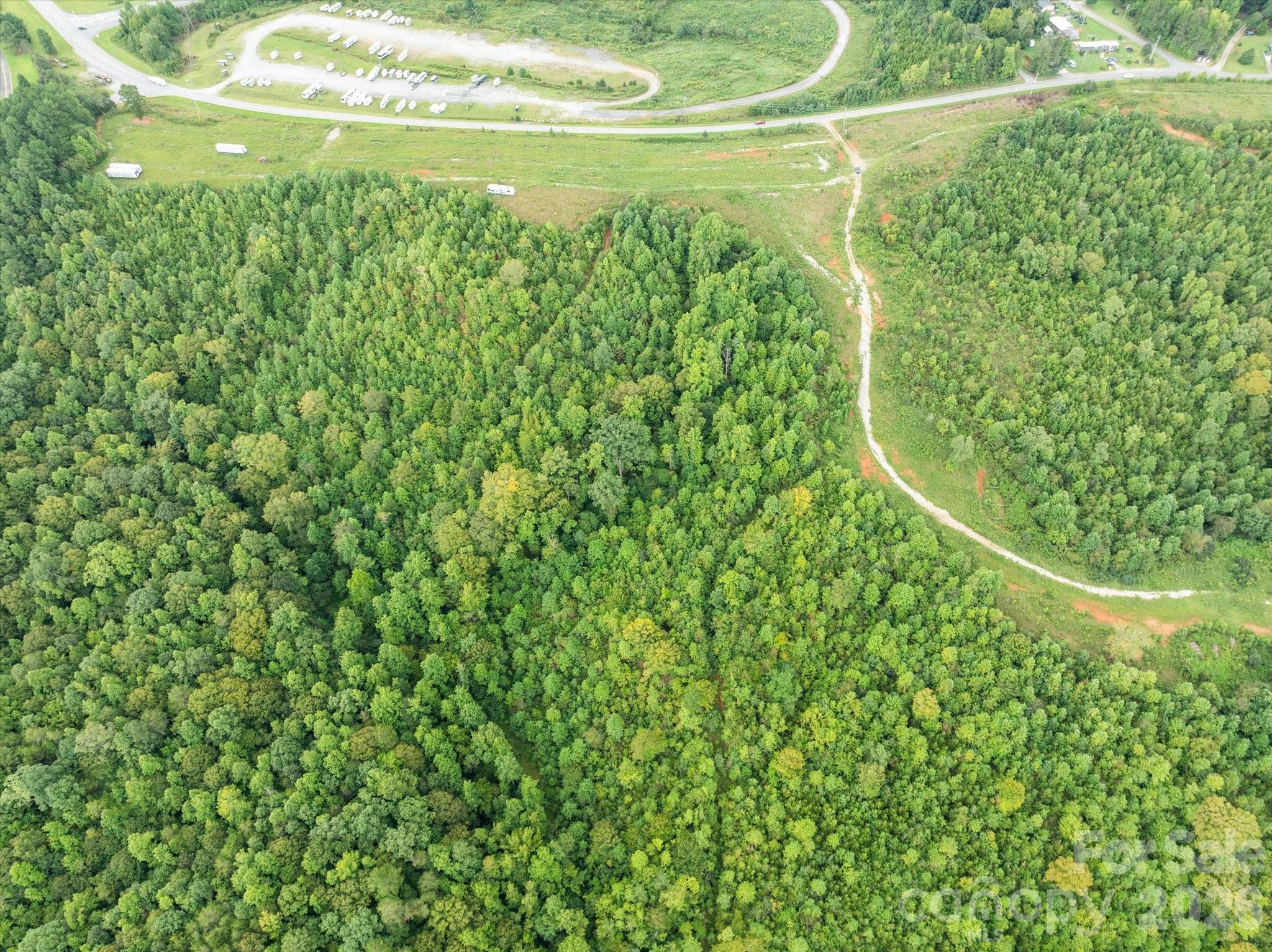 Tbd Pea Ridge Road Property Photo 6