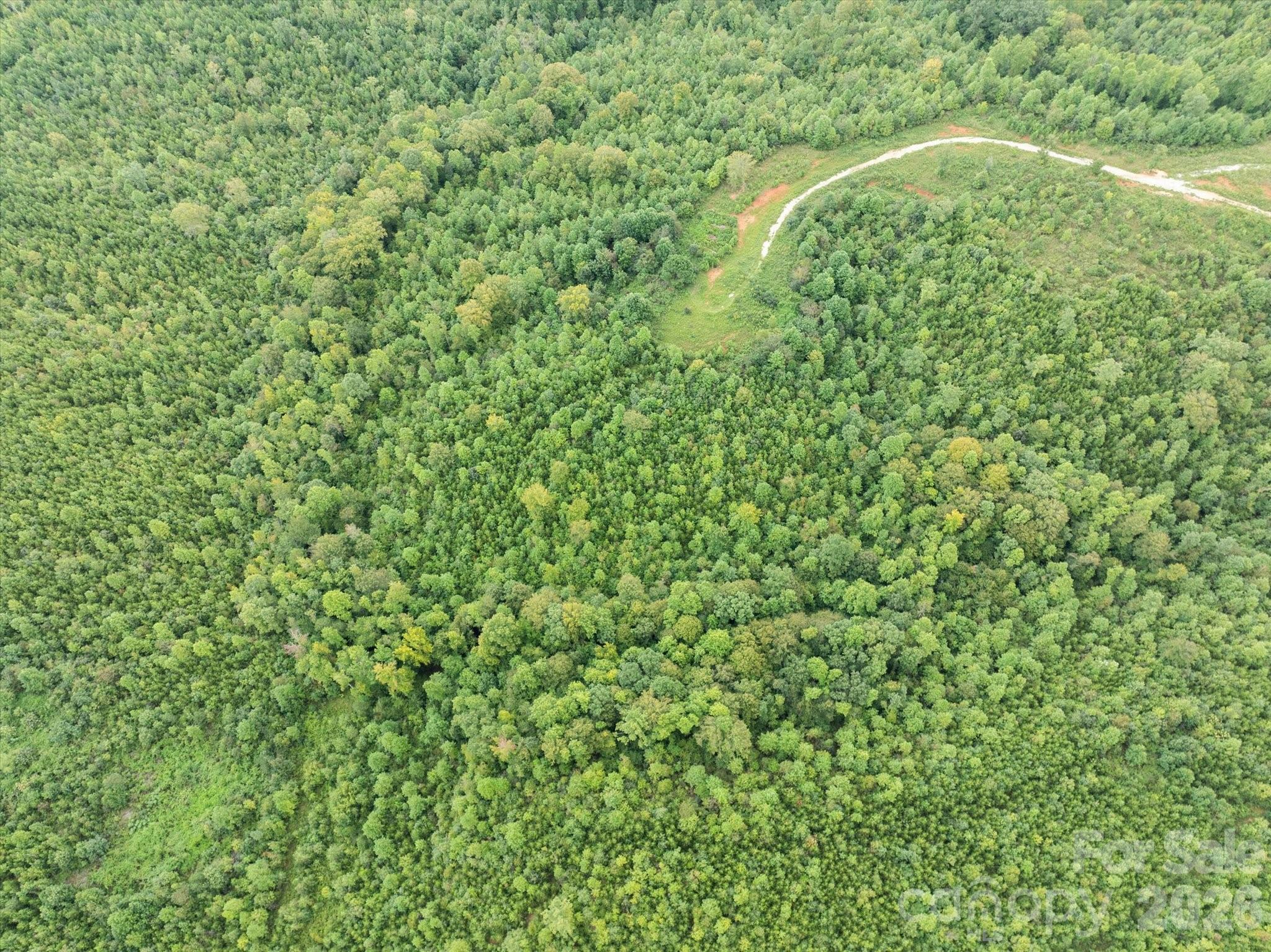 Tbd Pea Ridge Road Property Photo 7