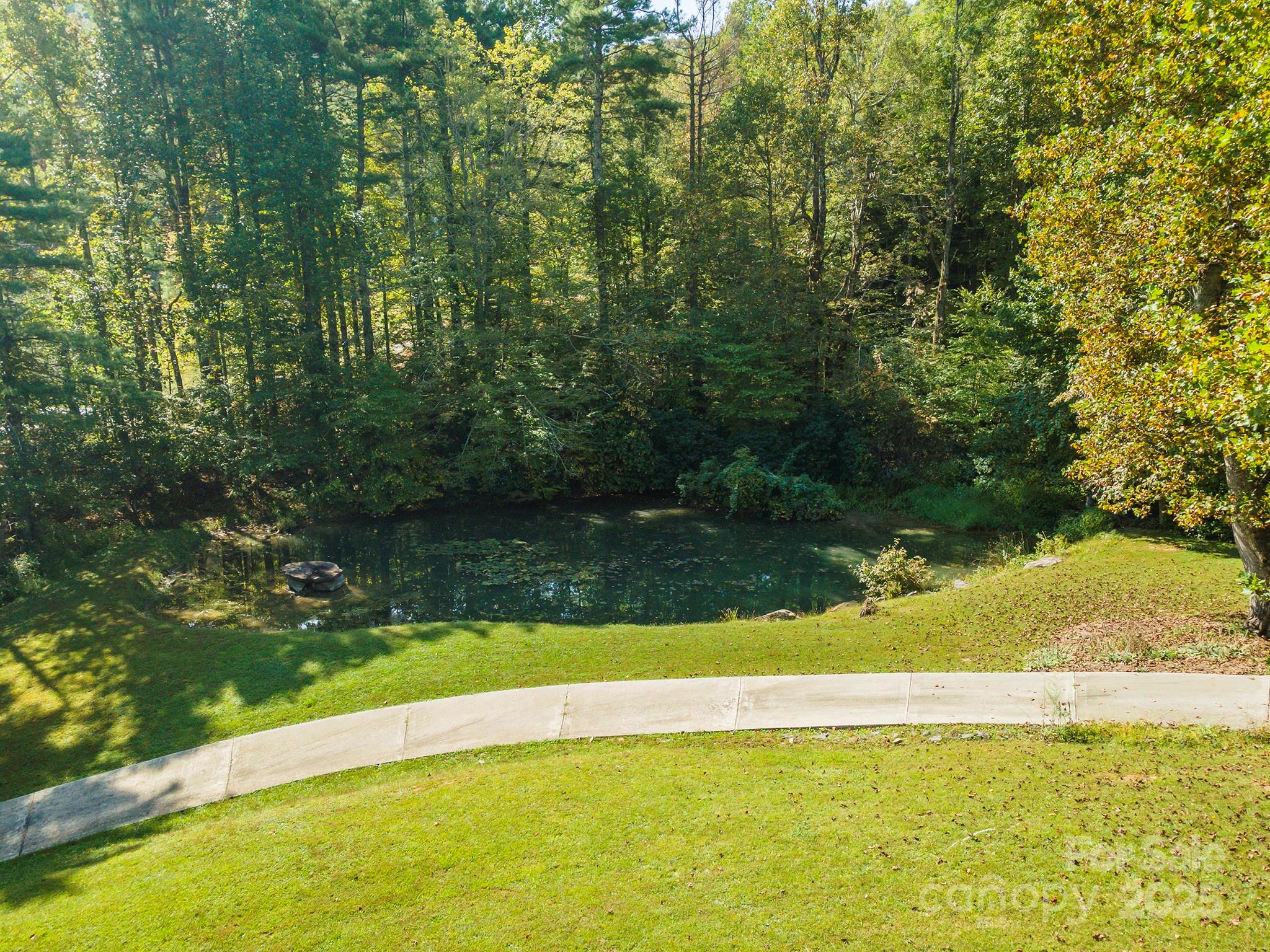85 Prospectors Trail Property Photo 8