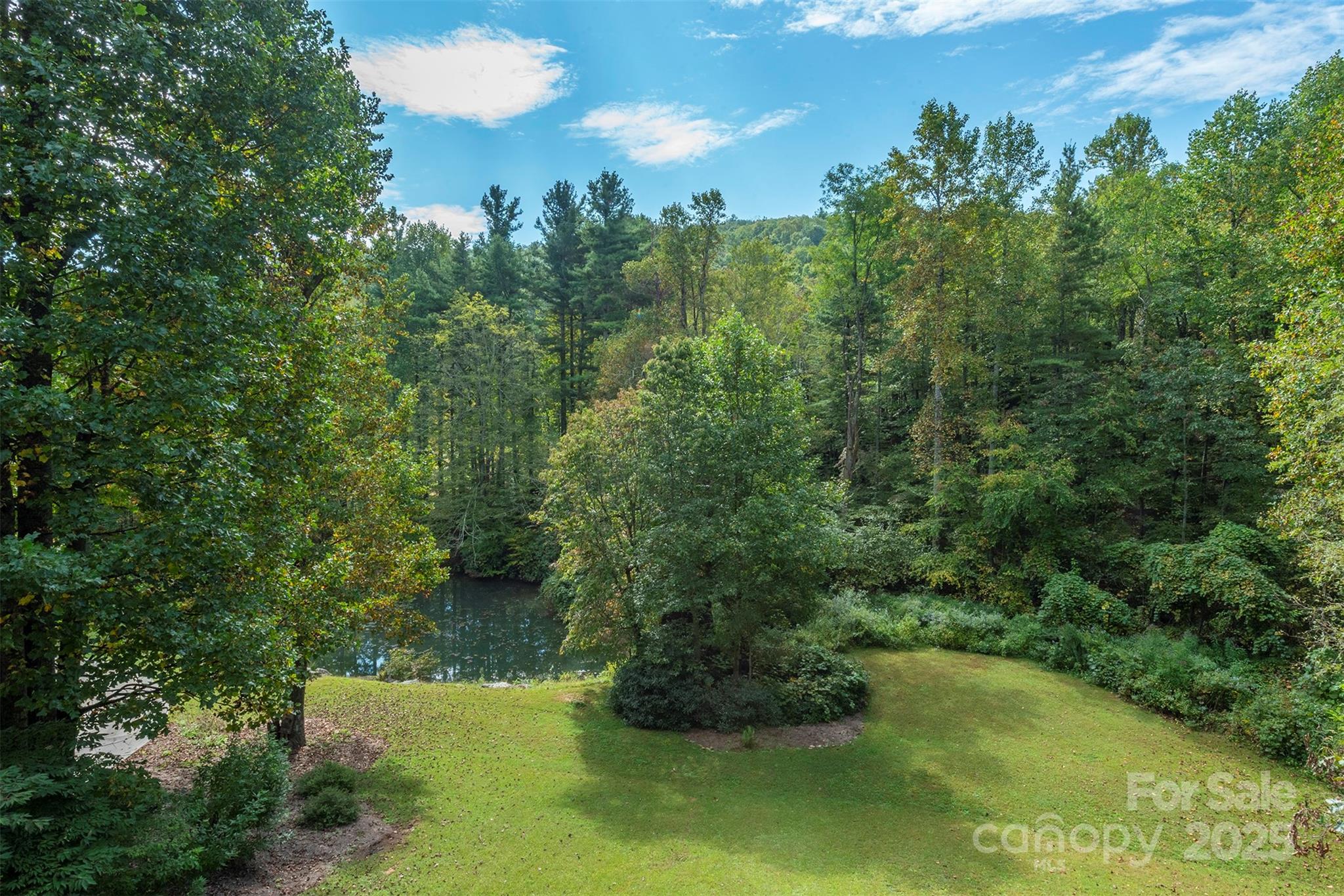 85 Prospectors Trail Property Photo 36
