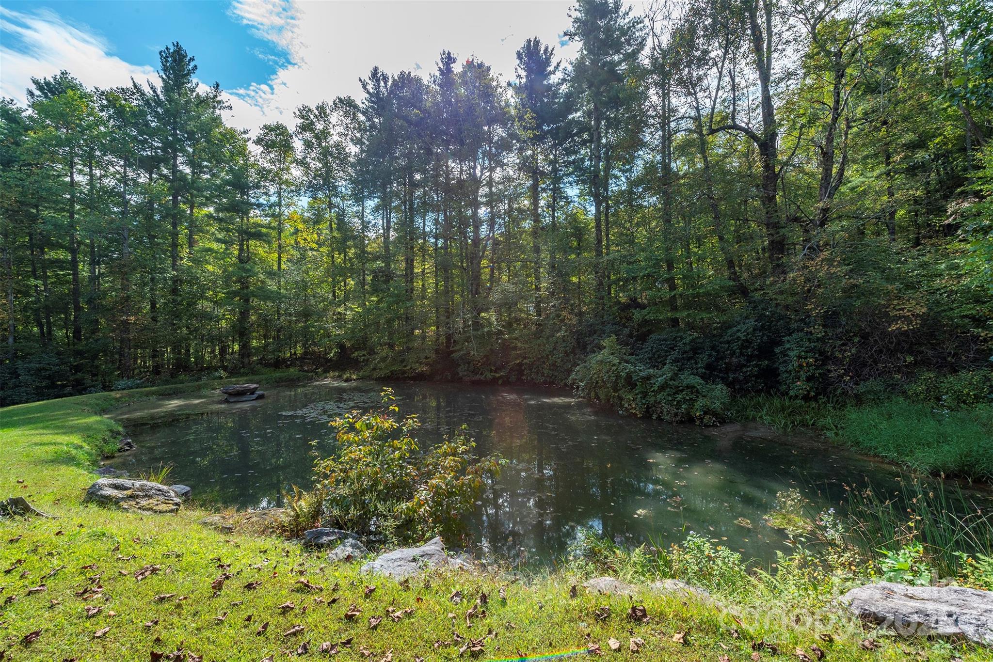 85 Prospectors Trail Property Photo 38