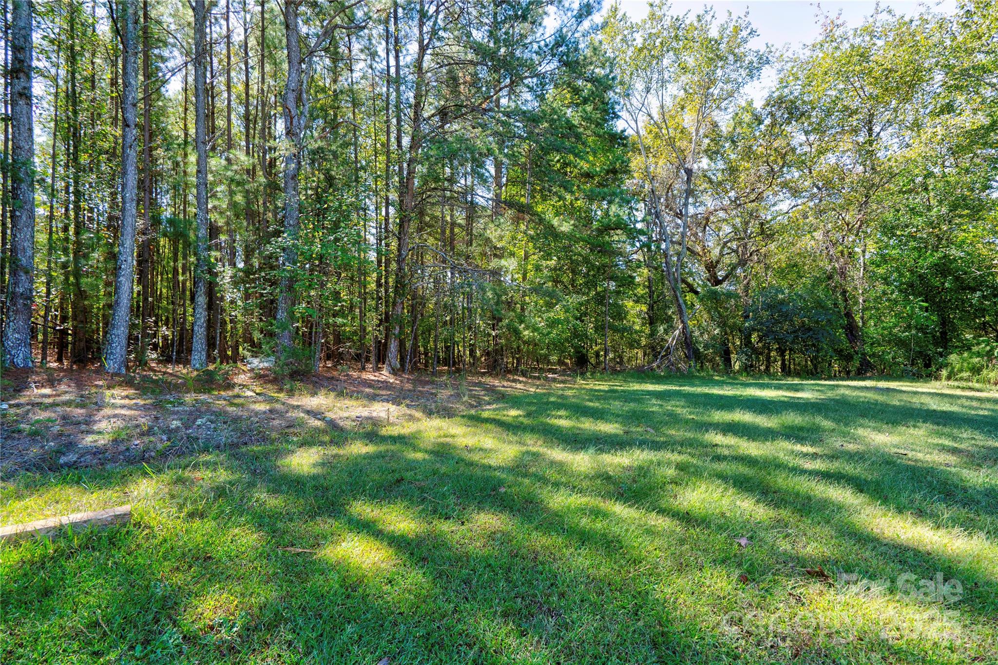 0 Stage Coach Trail Property Photo 1
