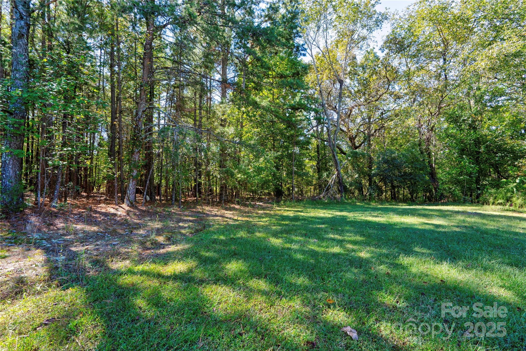0 Stage Coach Trail Property Photo 2
