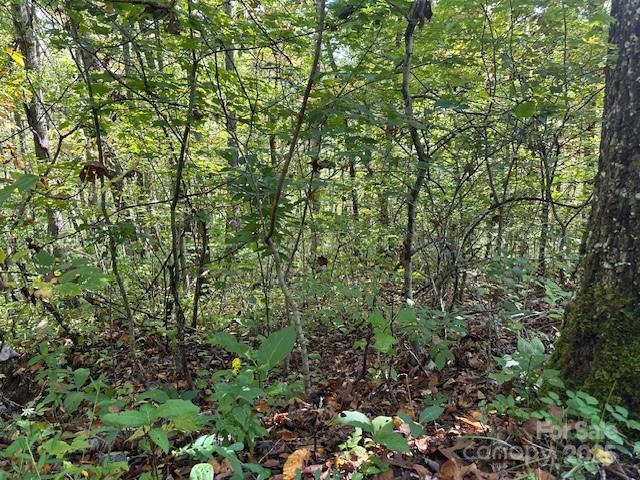 H16-h17 Shady Grove Road Property Photo 1