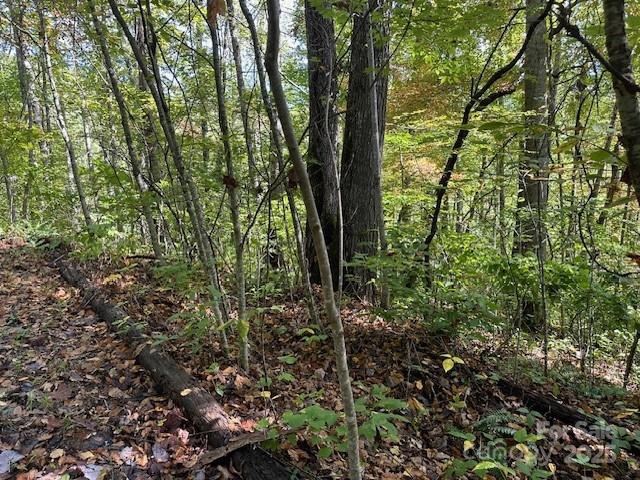 H16-h17 Shady Grove Road Property Photo 2