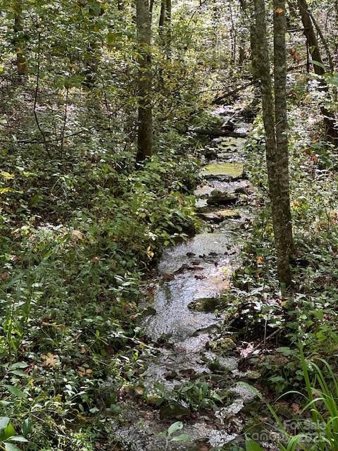 H16-h17 Shady Grove Road Property Photo 4