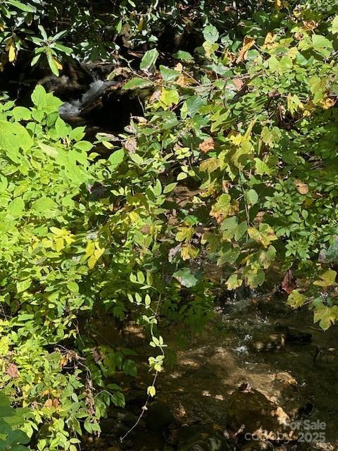 H16-h17 Shady Grove Road Property Photo 5