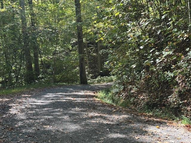 H16-h17 Shady Grove Road Property Photo 6