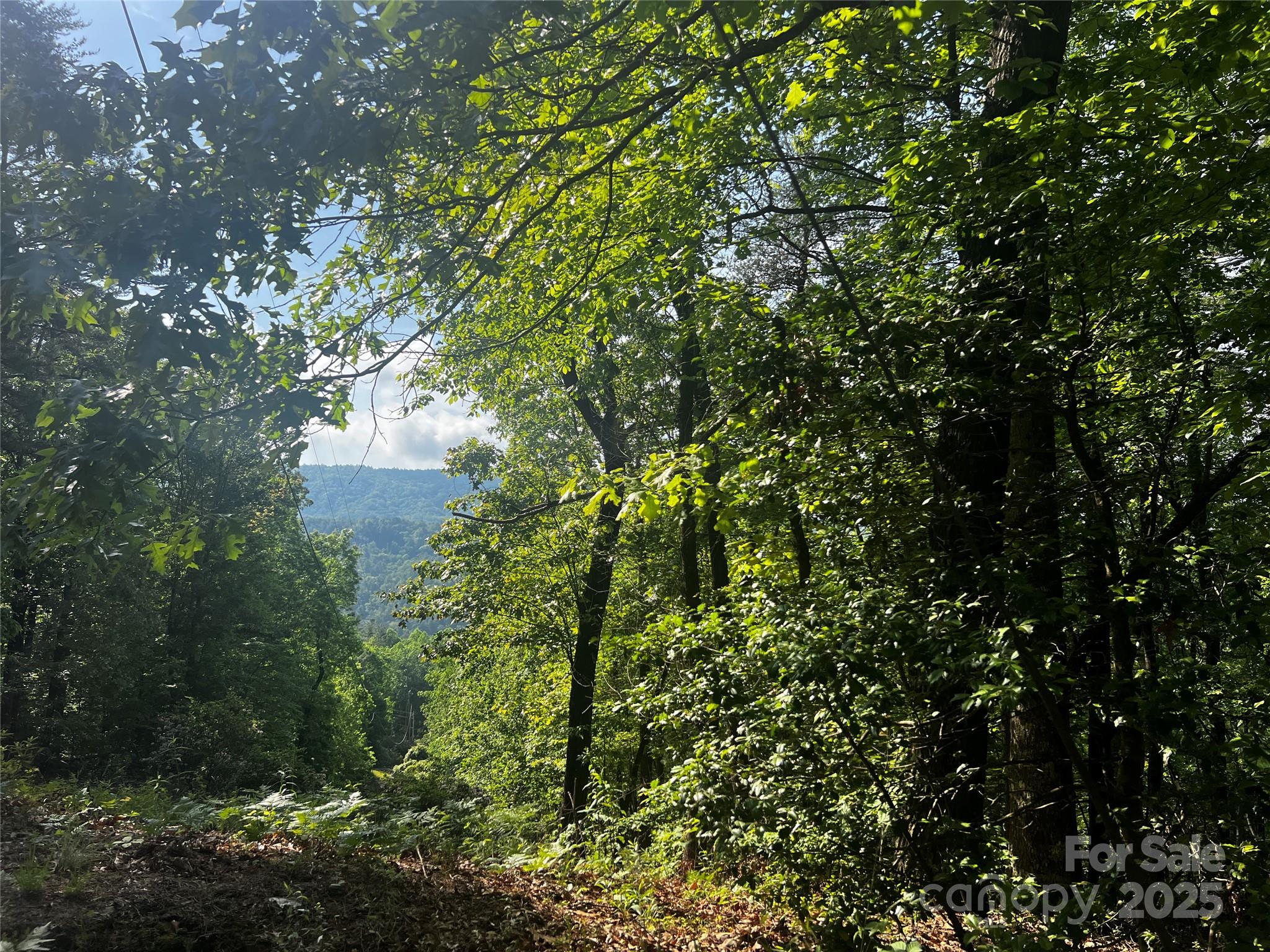 Lot 14r Arrowhead Ridge 14 Revised Property Photo 3