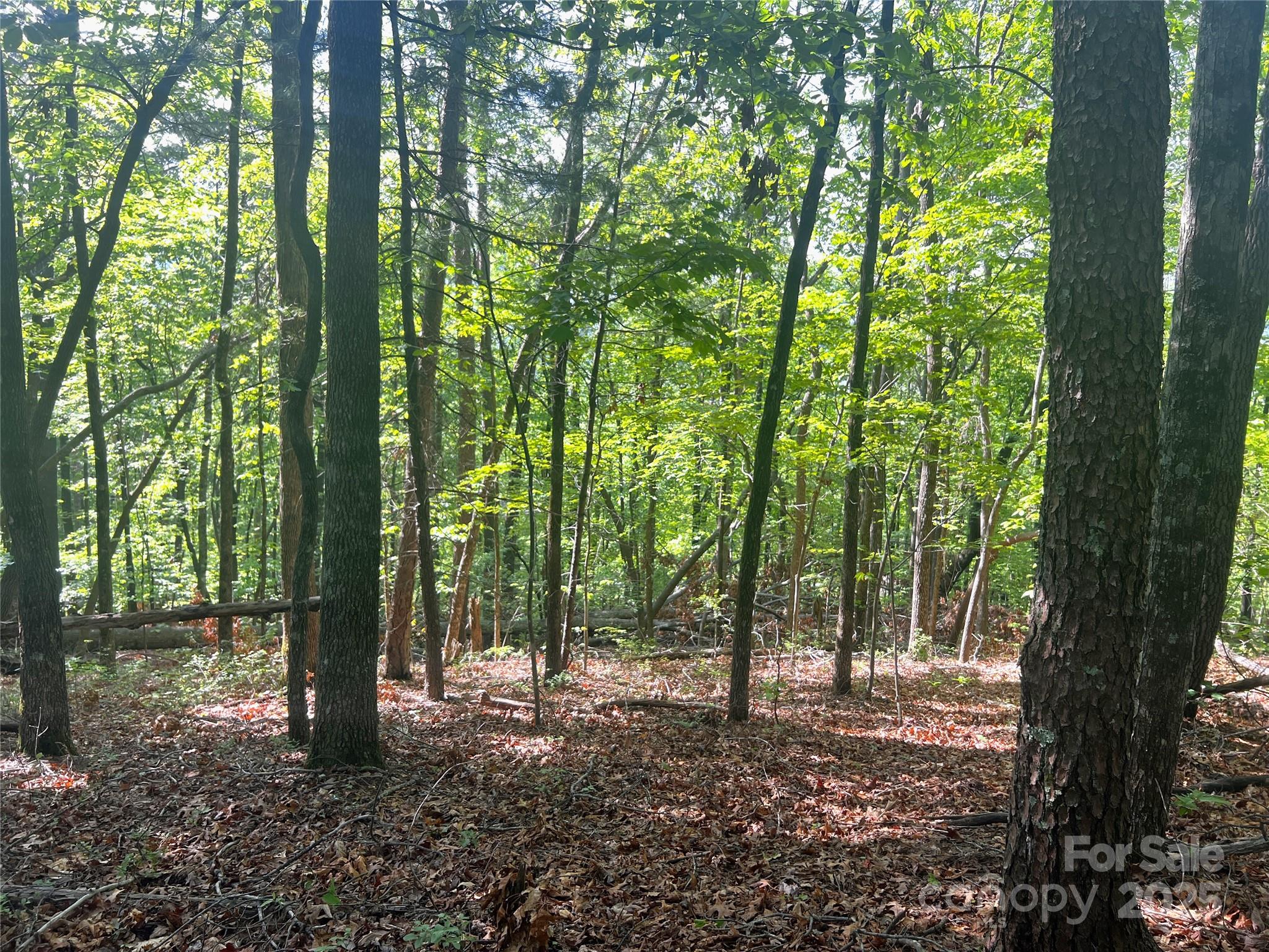 Lot 14r Arrowhead Ridge 14 Revised Property Photo 7