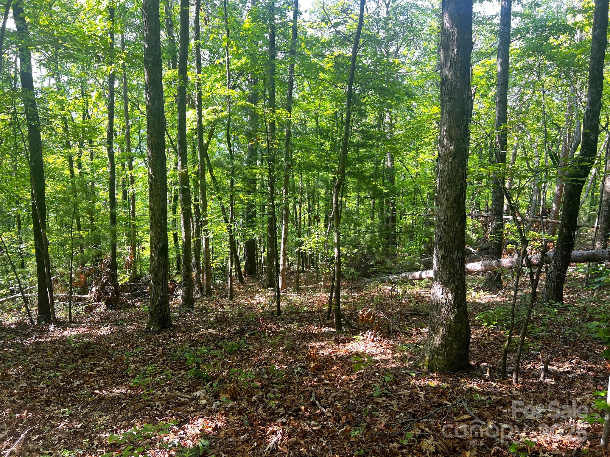 Lot 14r Arrowhead Ridge 14 Revised Property Photo 8