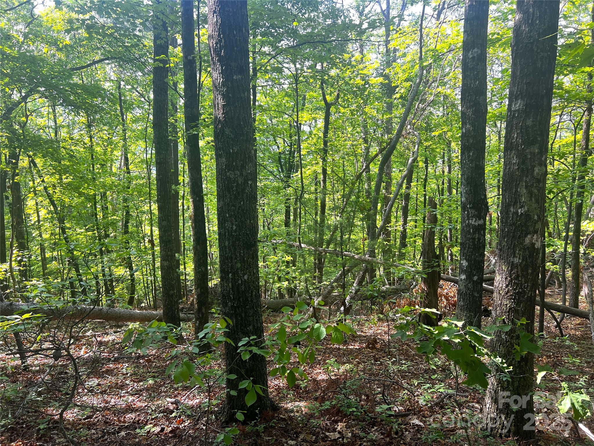 Lot 14r Arrowhead Ridge 14 Revised Property Photo 10