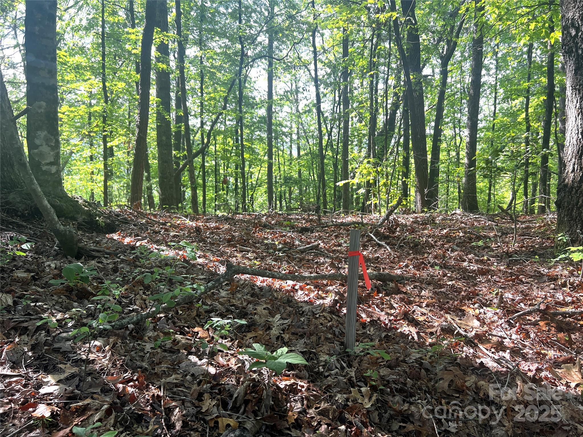 Lot 14r Arrowhead Ridge 14 Revised Property Photo 12
