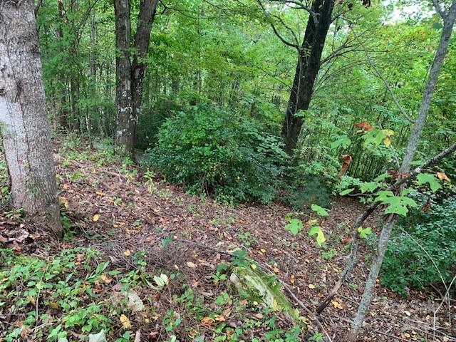 105 Crossvine Trail 15 Property Photo 4