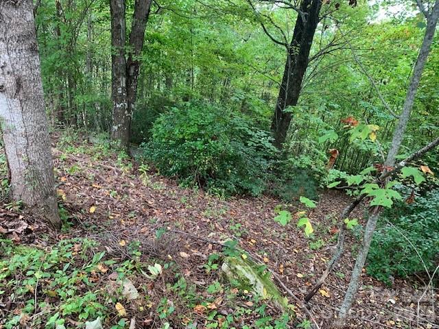 105 Crossvine Trail 15 Property Photo 4