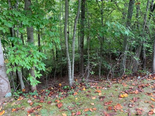 105 Crossvine Trail 15 Property Photo 16