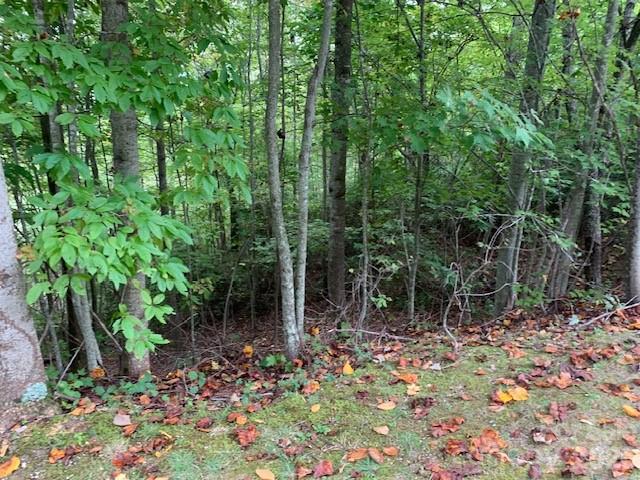 105 Crossvine Trail 15 Property Photo 32