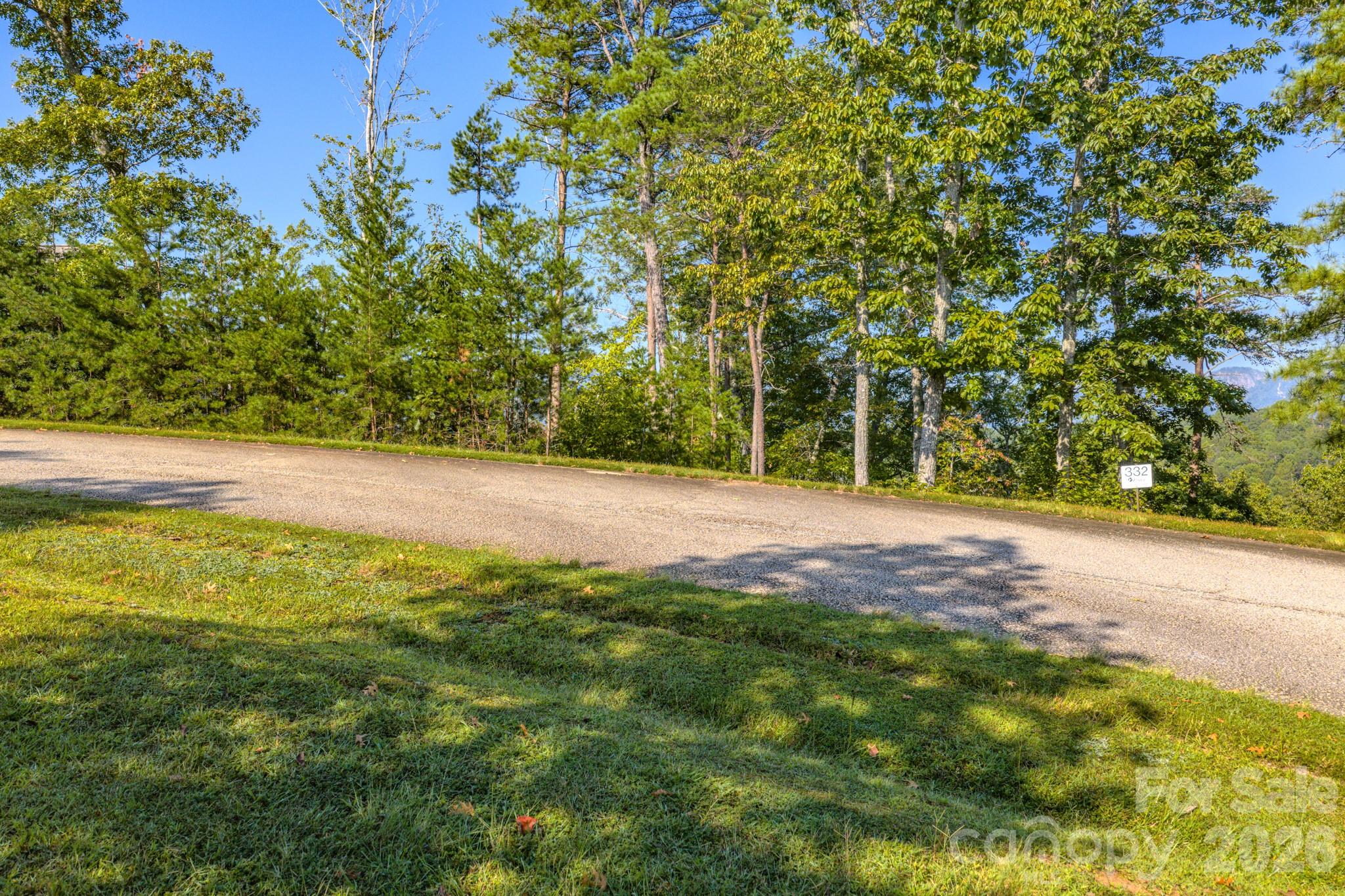 0 Willow Top Lane 332 Property Photo 6
