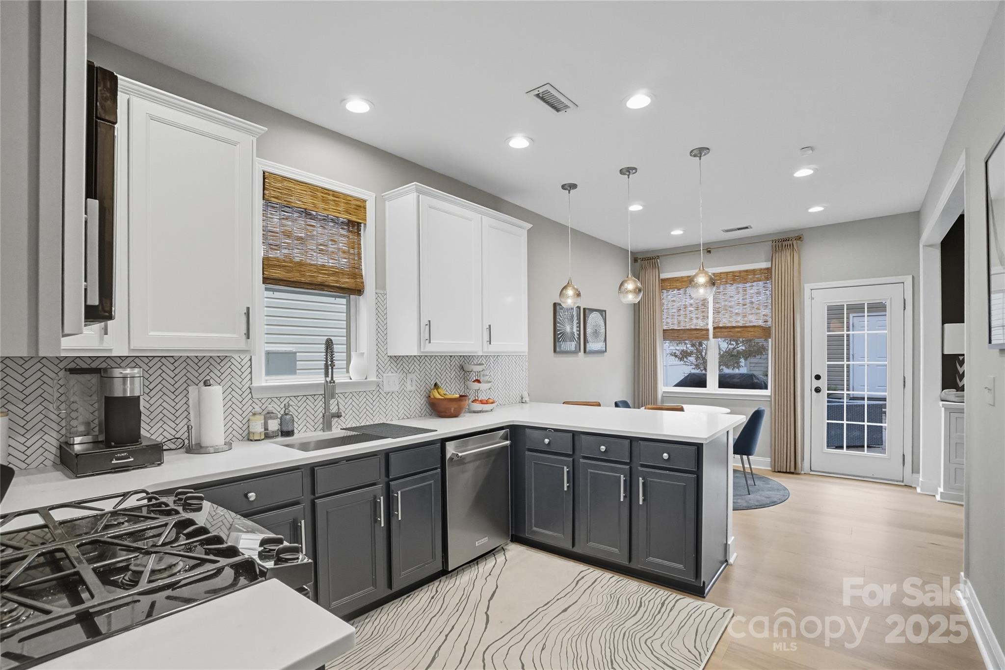 10048 Switchyard Drive Property Photo 14