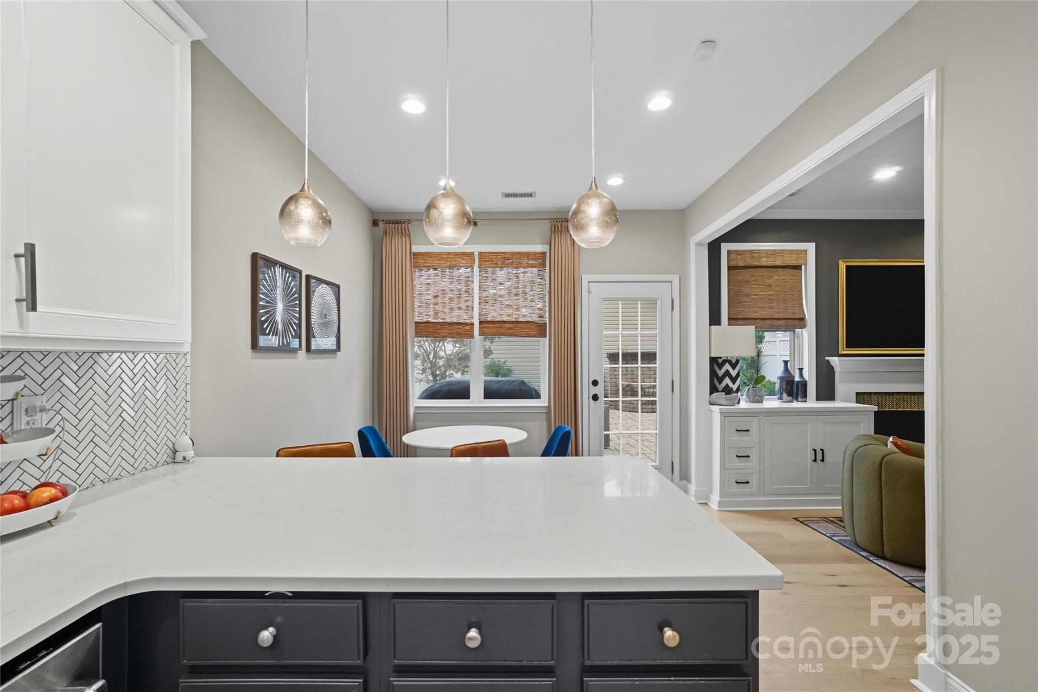 10048 Switchyard Drive Property Photo 17