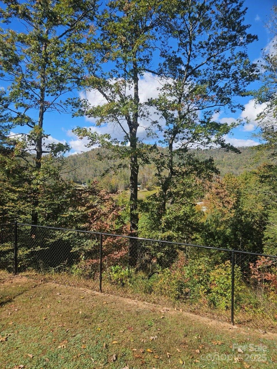 493 Spring Hill Road Property Photo 6