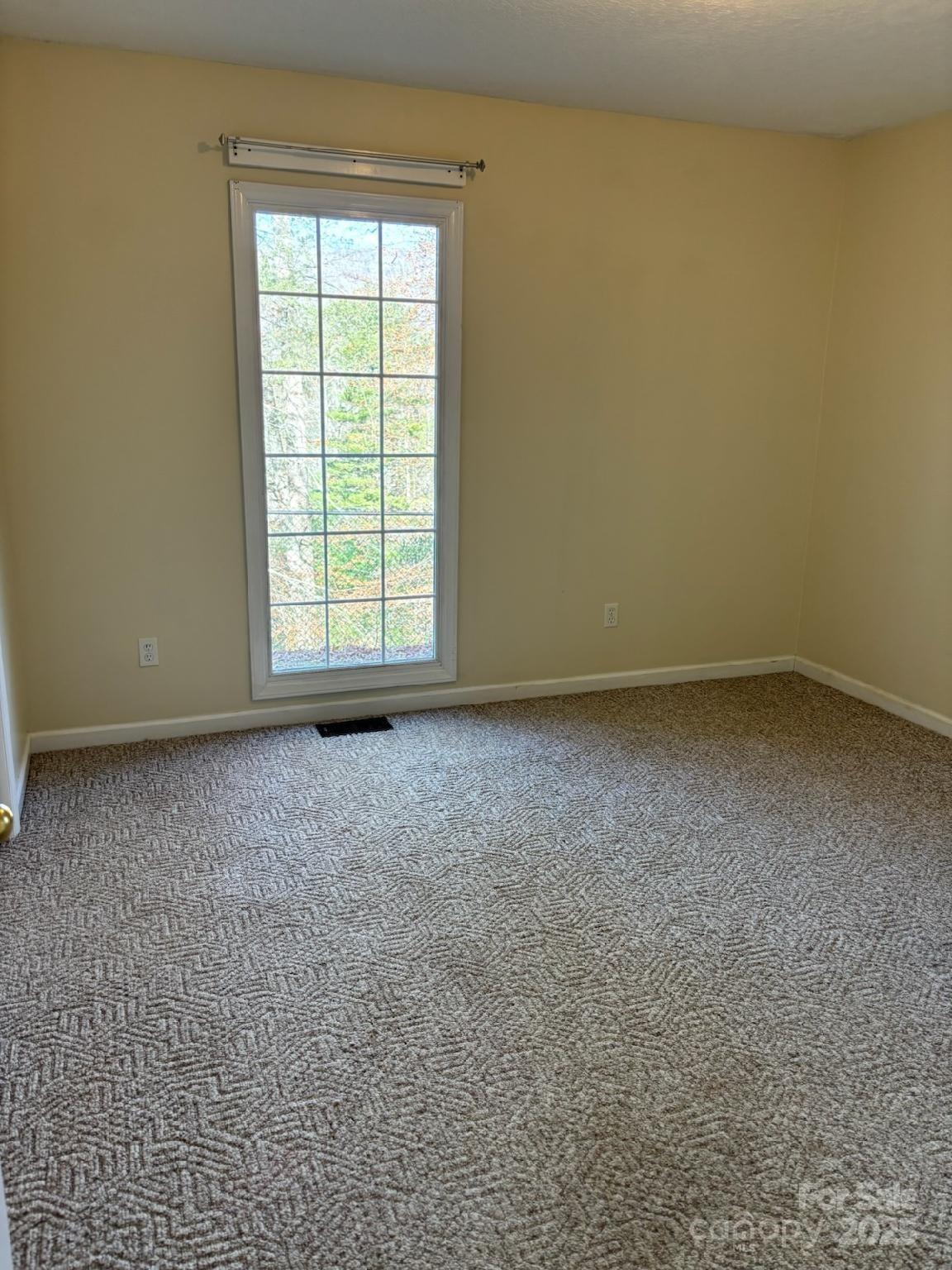 493 Spring Hill Road Property Photo 18