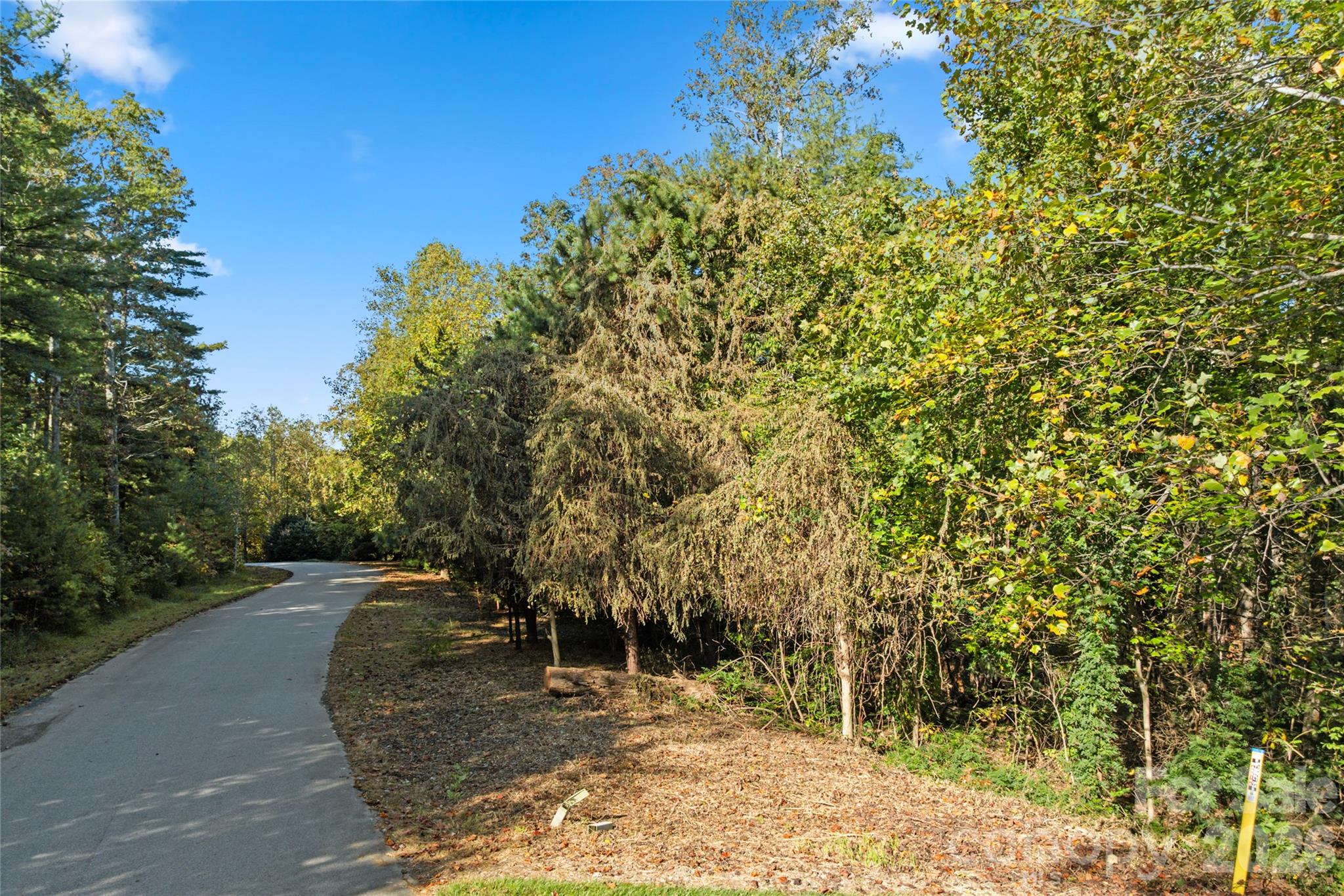 0 Cedar Hill Drive 24 Property Photo 3