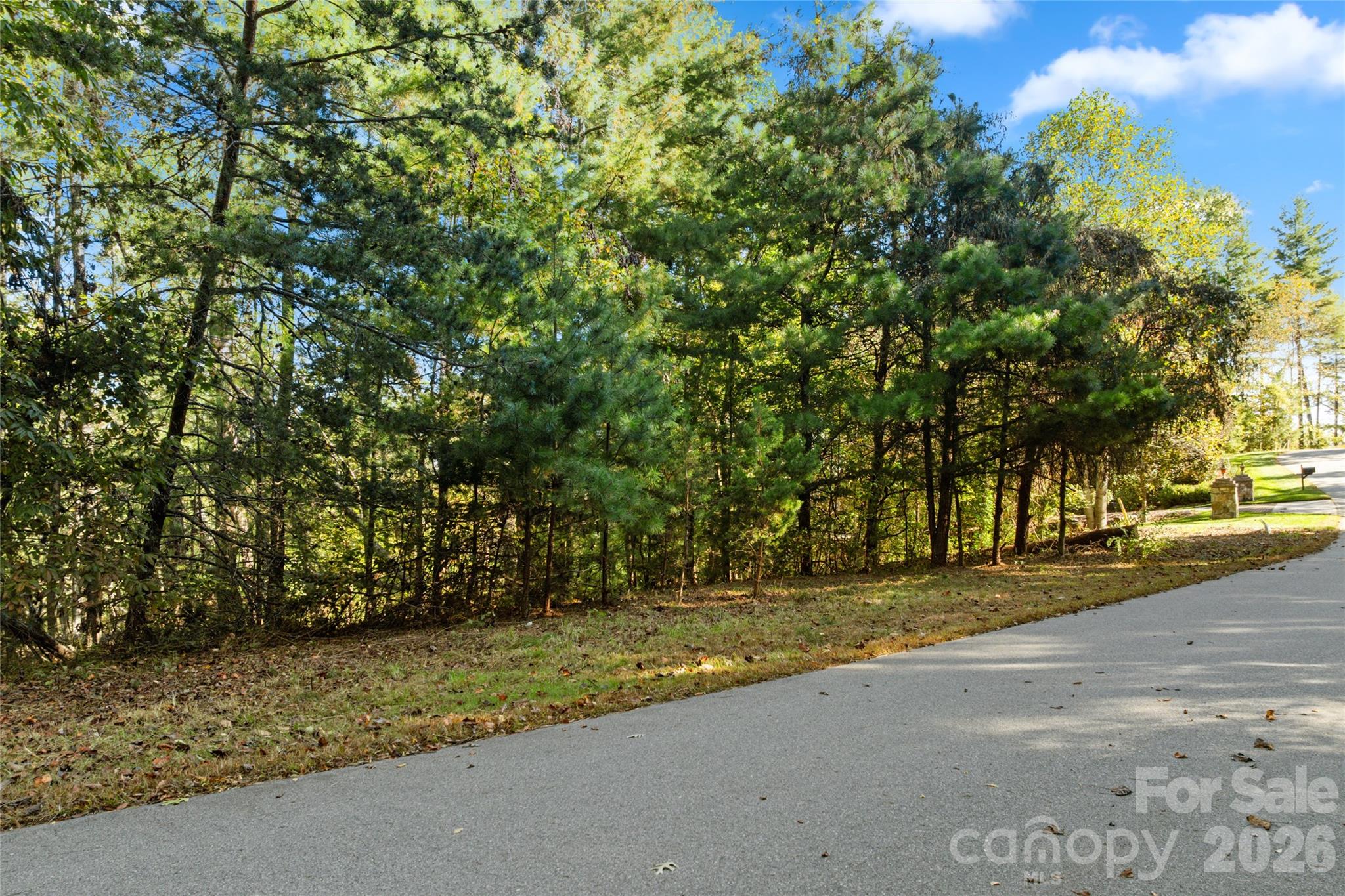 0 Cedar Hill Drive 24 Property Photo 8