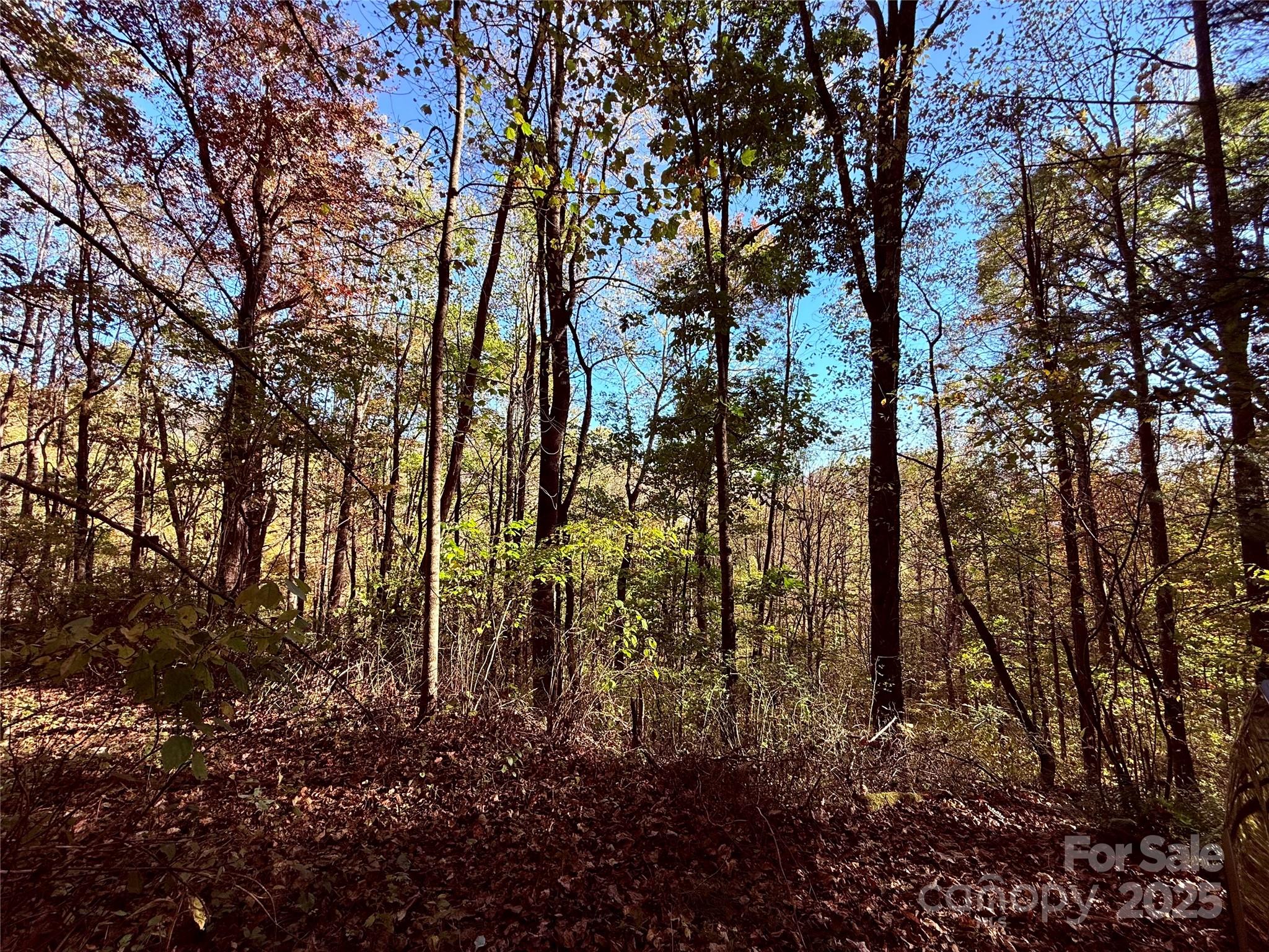 Tbd Happy Ridge Lane Property Photo 1