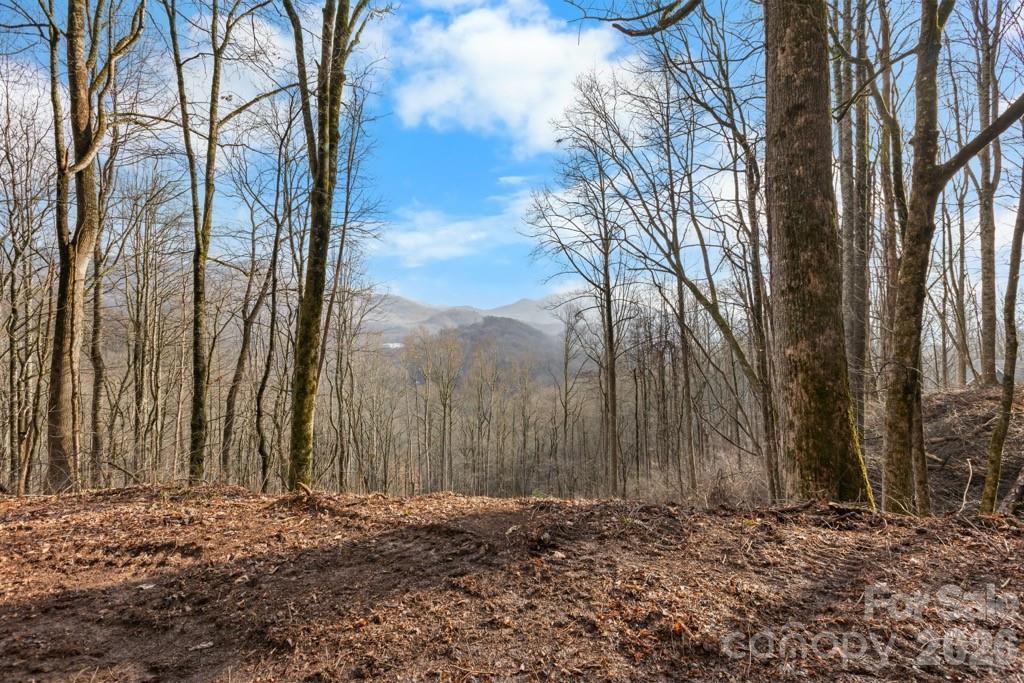 TBD Happy Ridge Lane Property Photo 1