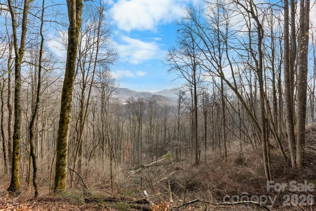 Tbd Happy Ridge Lane Property Photo 2