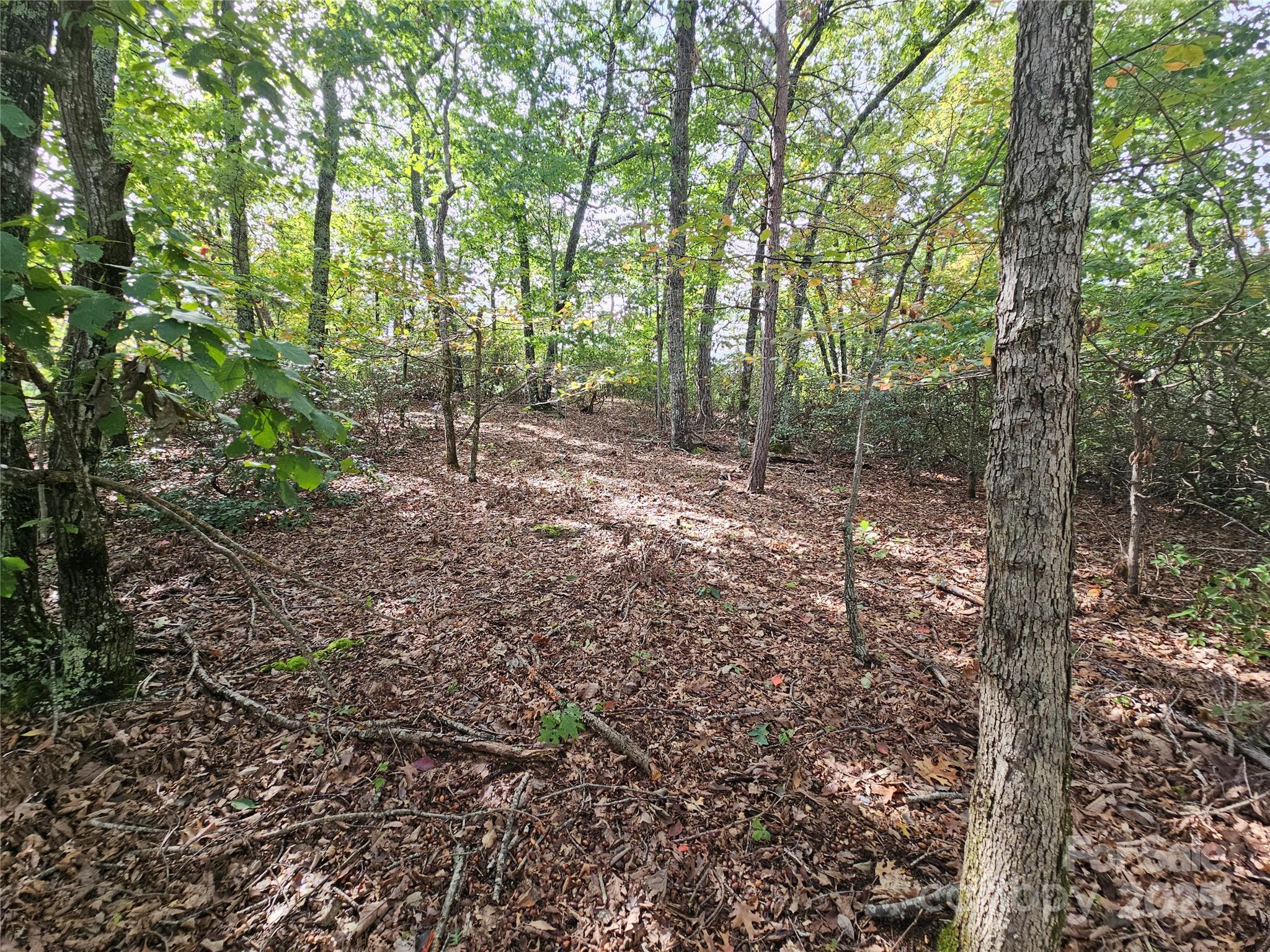 3634 Abee Farm Road Property Photo 5