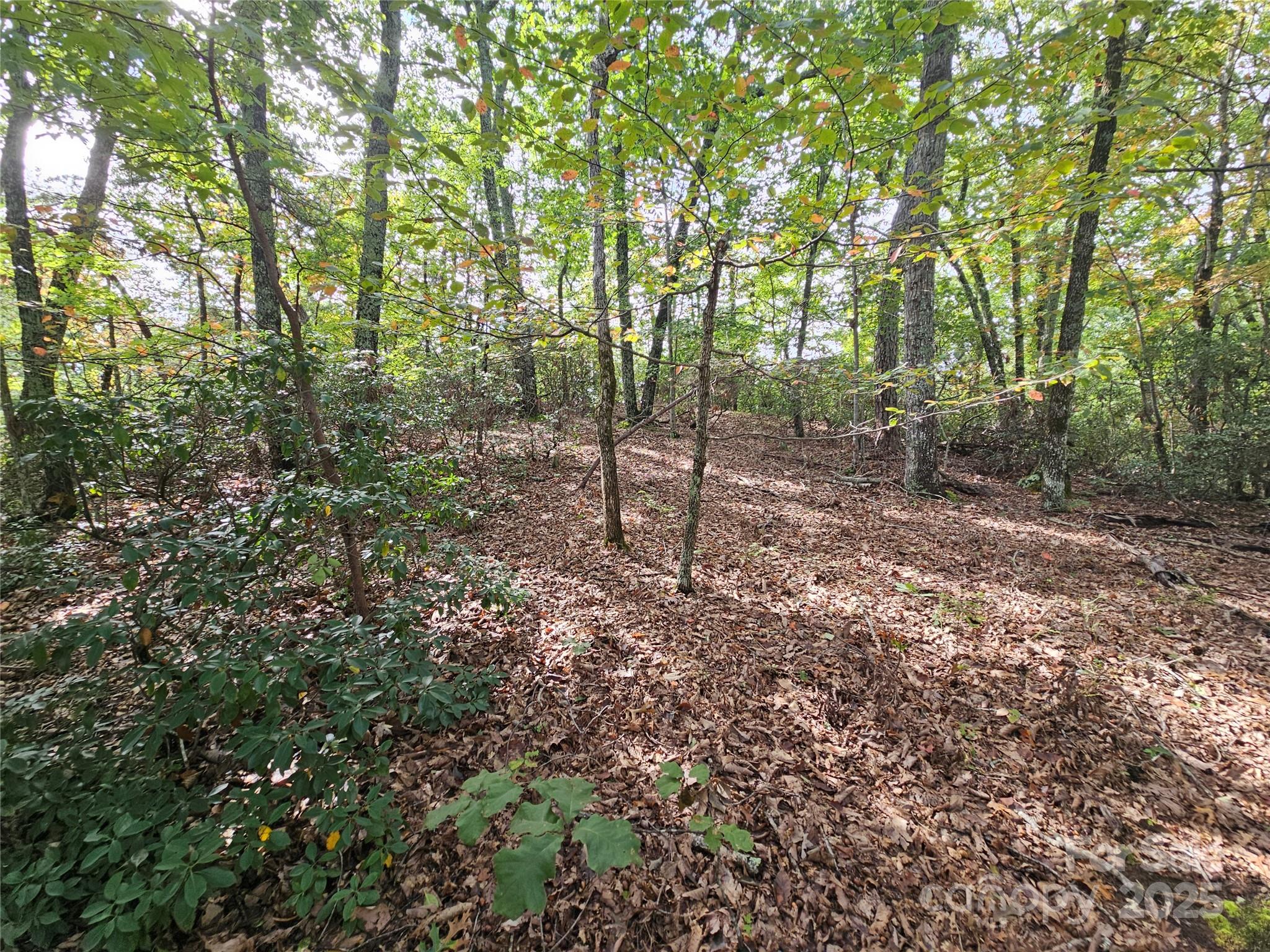3634 Abee Farm Road Property Photo 6