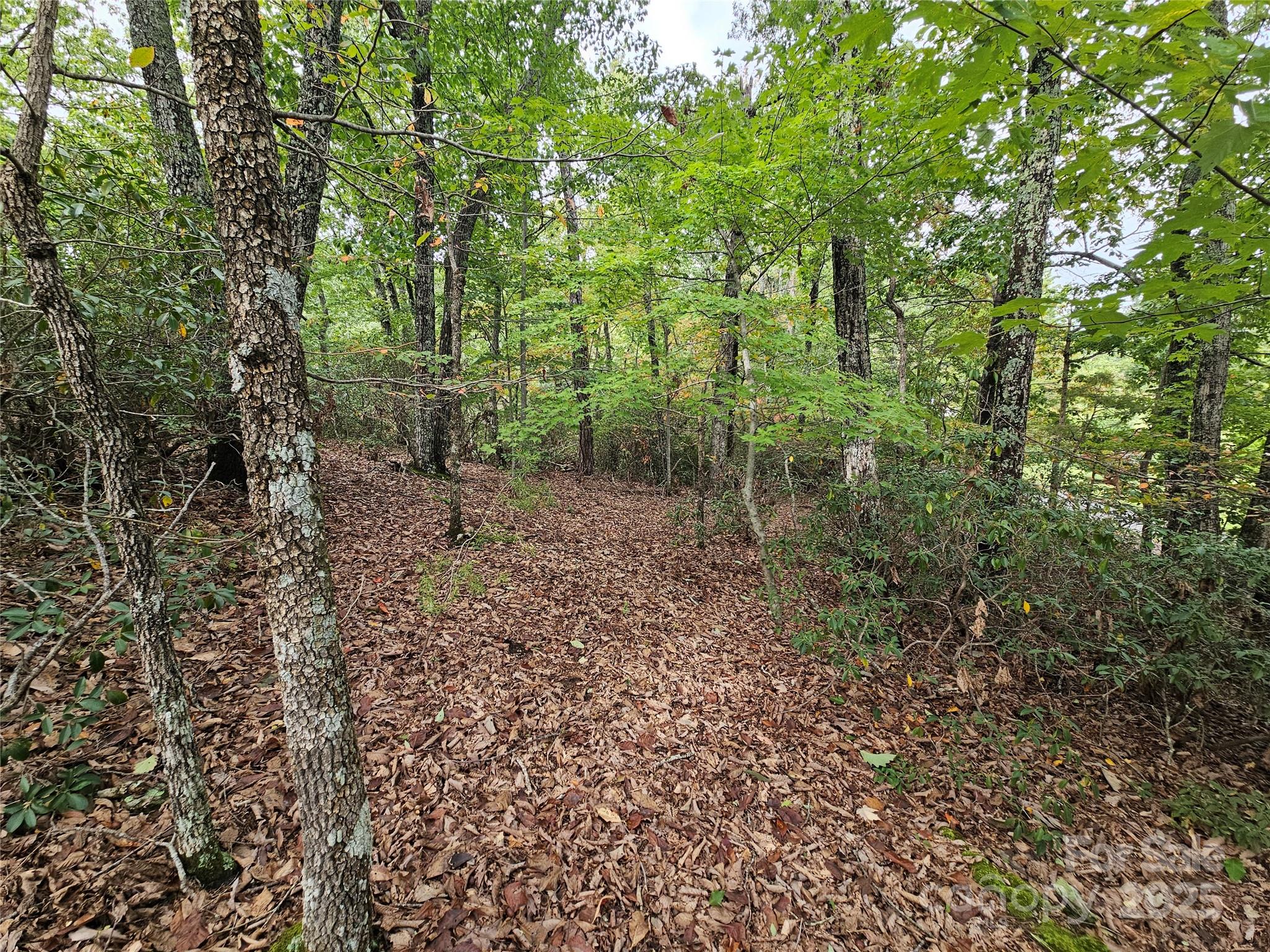 3634 Abee Farm Road Property Photo 8