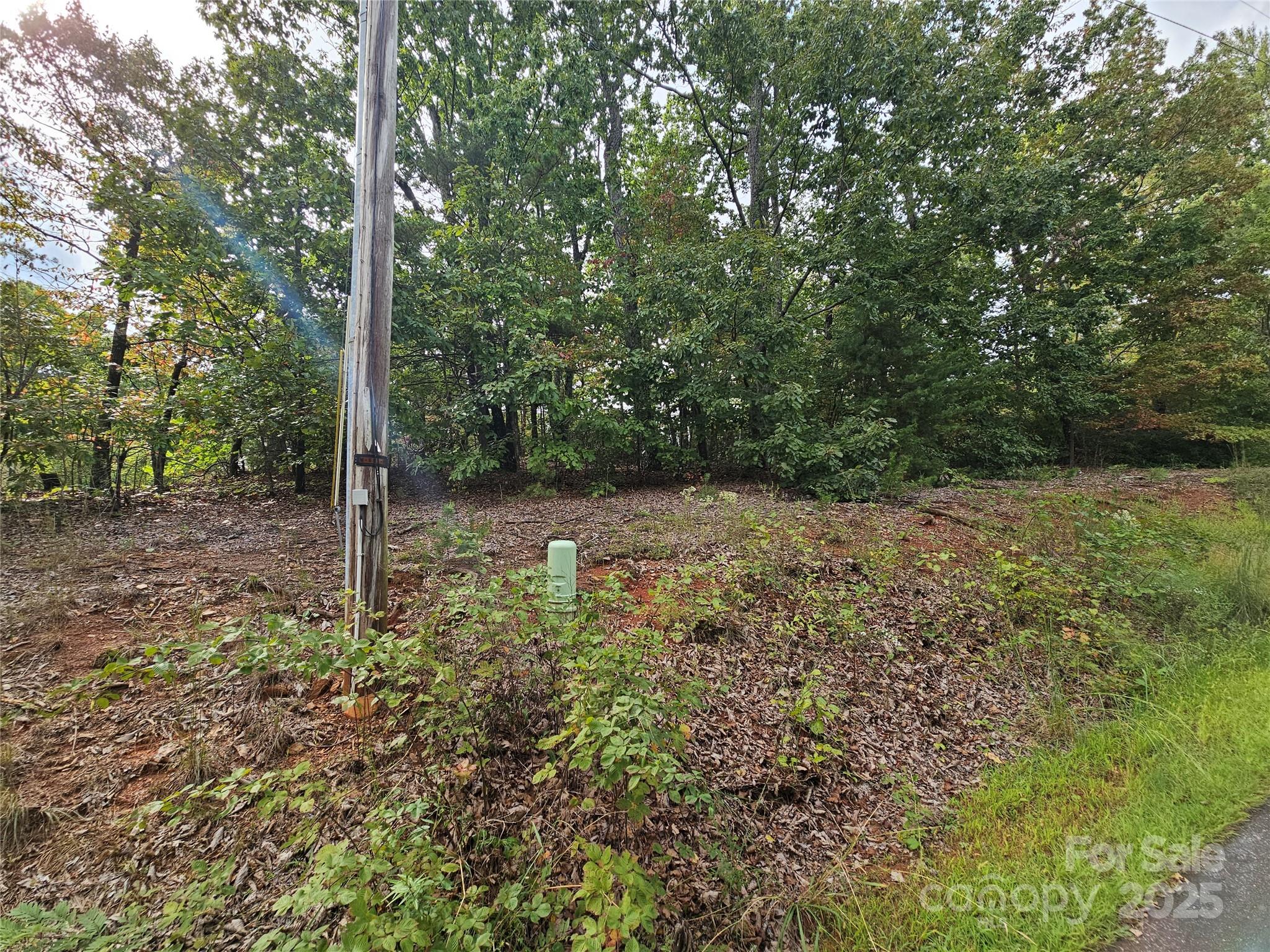 3634 Abee Farm Road Property Photo 9