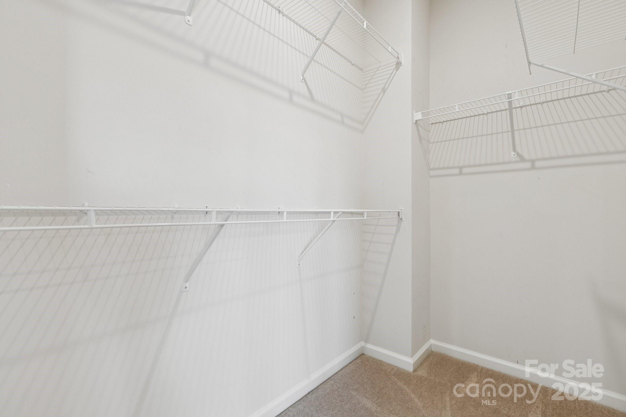 10832 Overlook Mountain Drive Property Photo 25