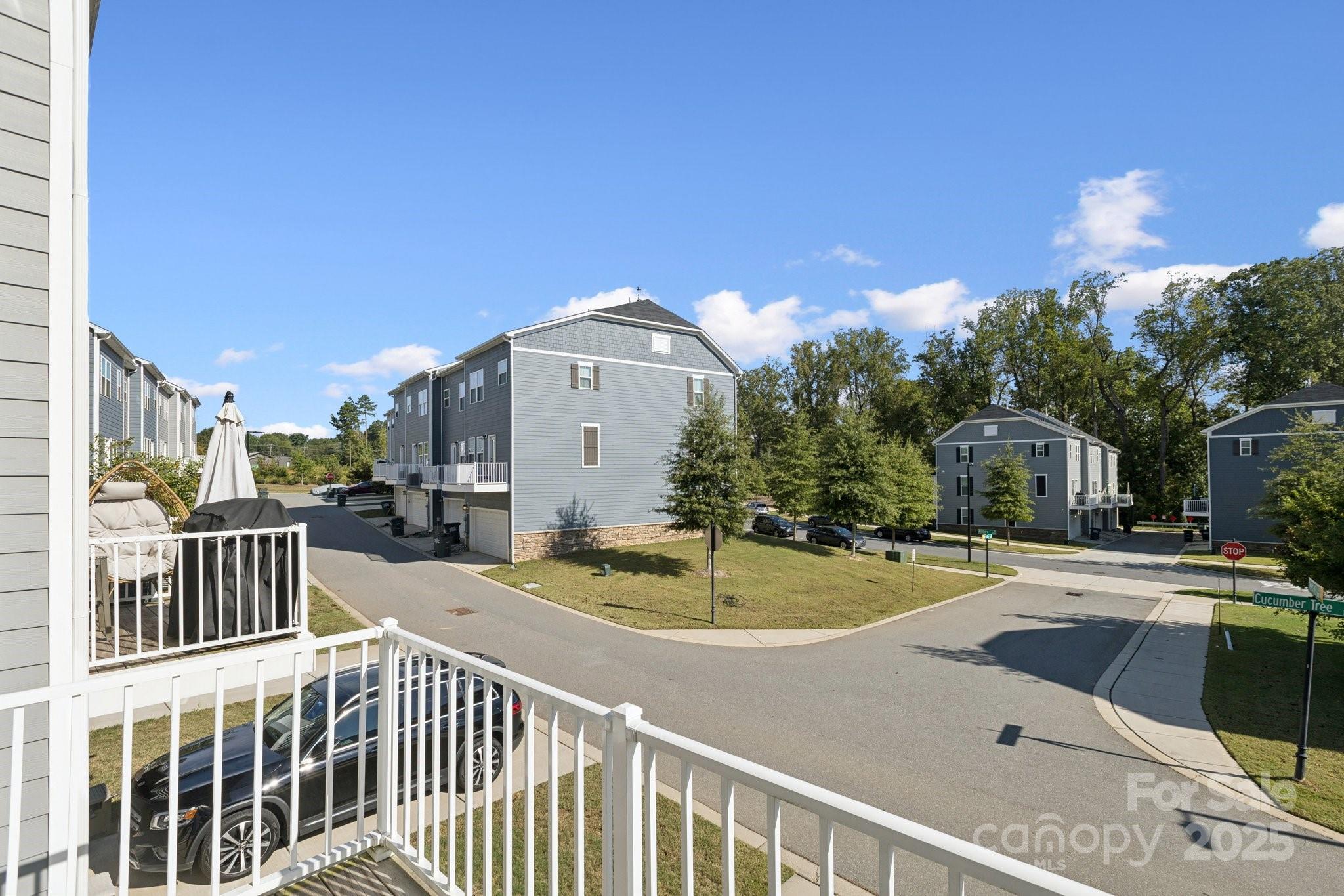 10832 Overlook Mountain Drive Property Photo 39