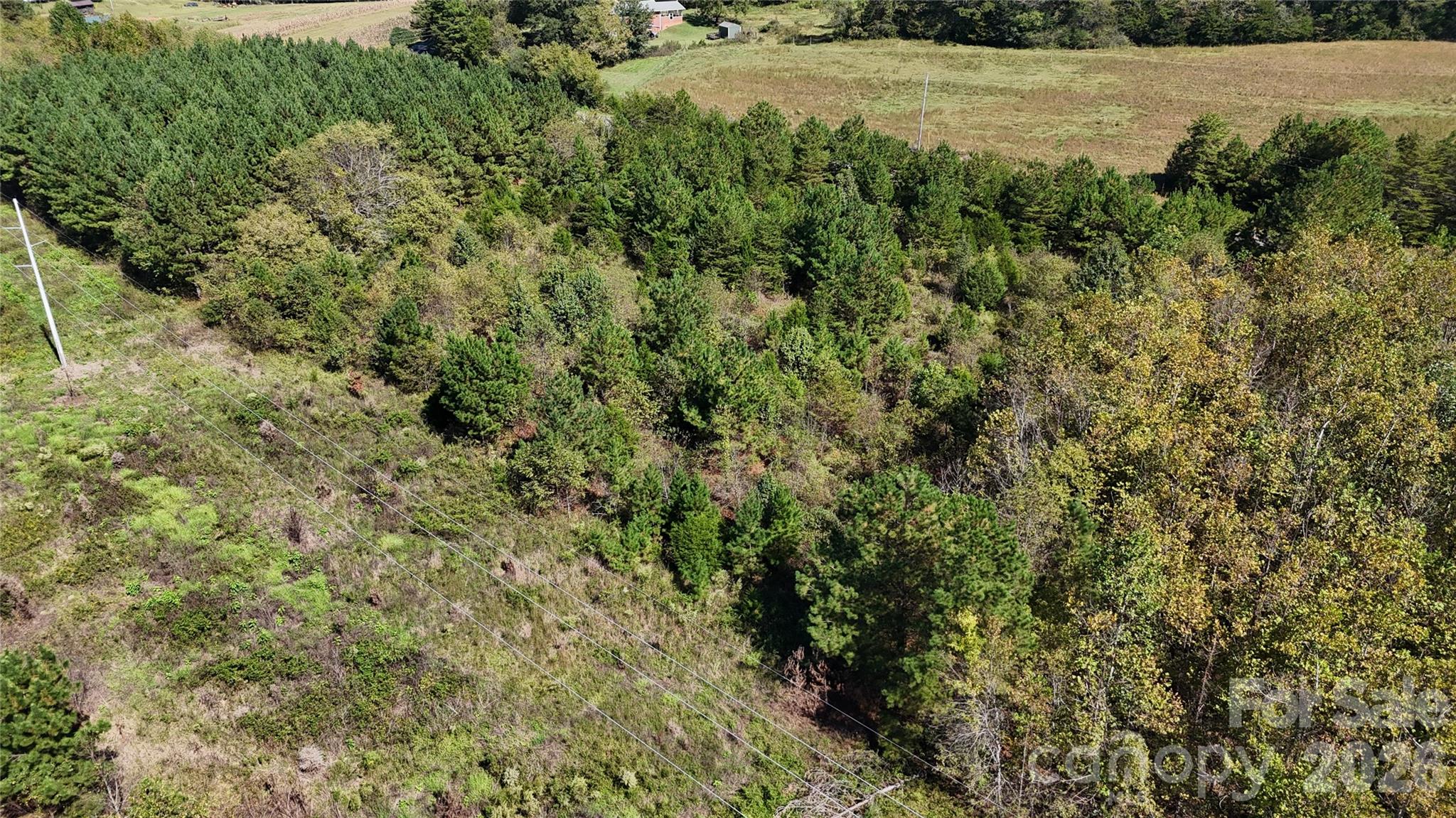 0 Clark Road Property Photo 8