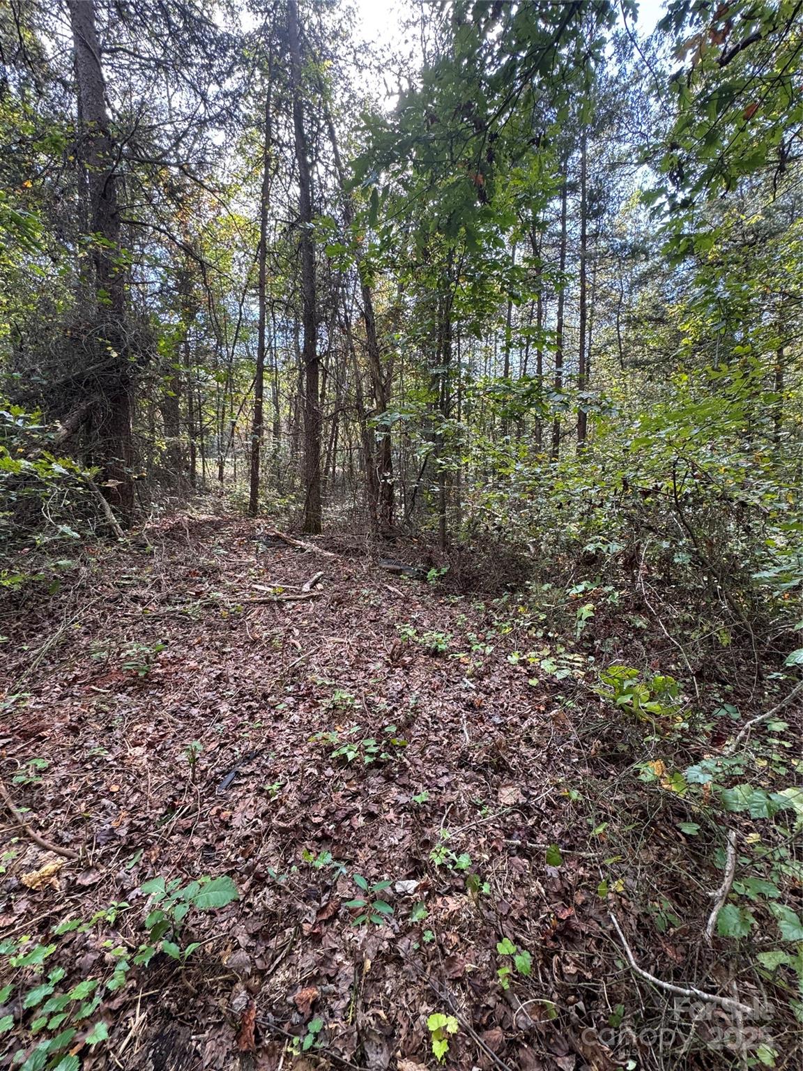 00 Coolbrook Road 2 Property Photo 9