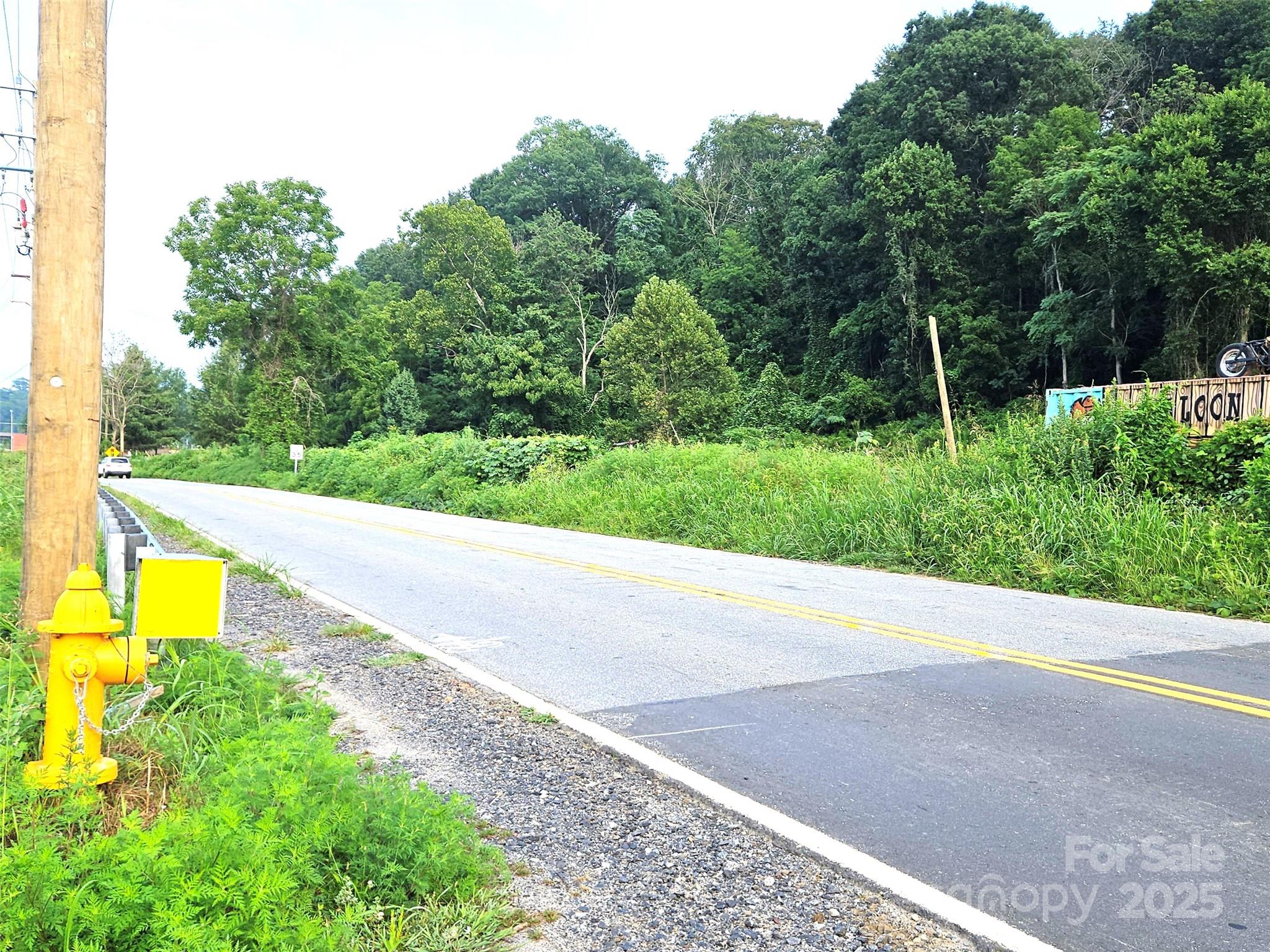 0 Swannanoa River Road Property Photo 1