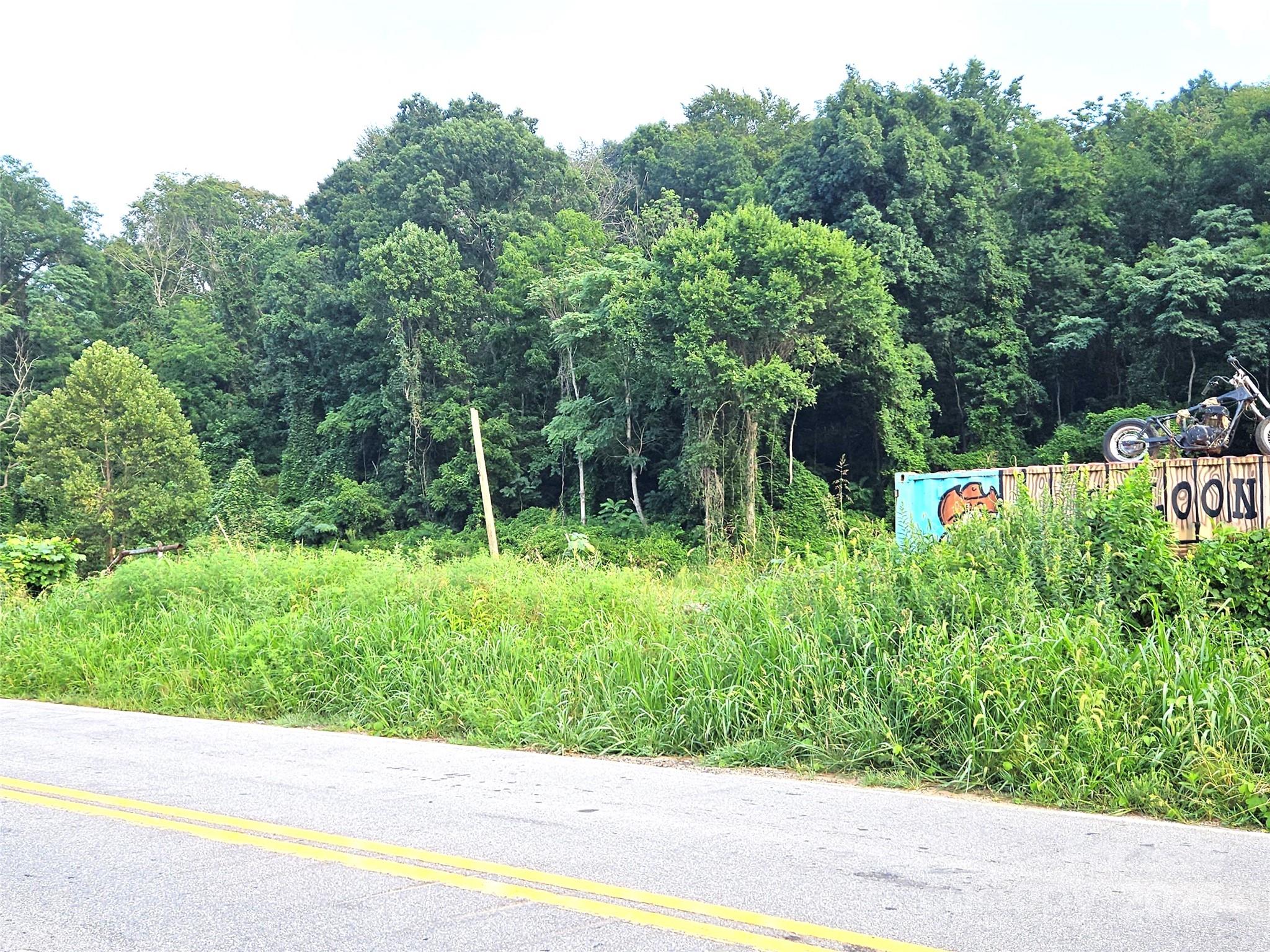 0 Swannanoa River Road Property Photo 2