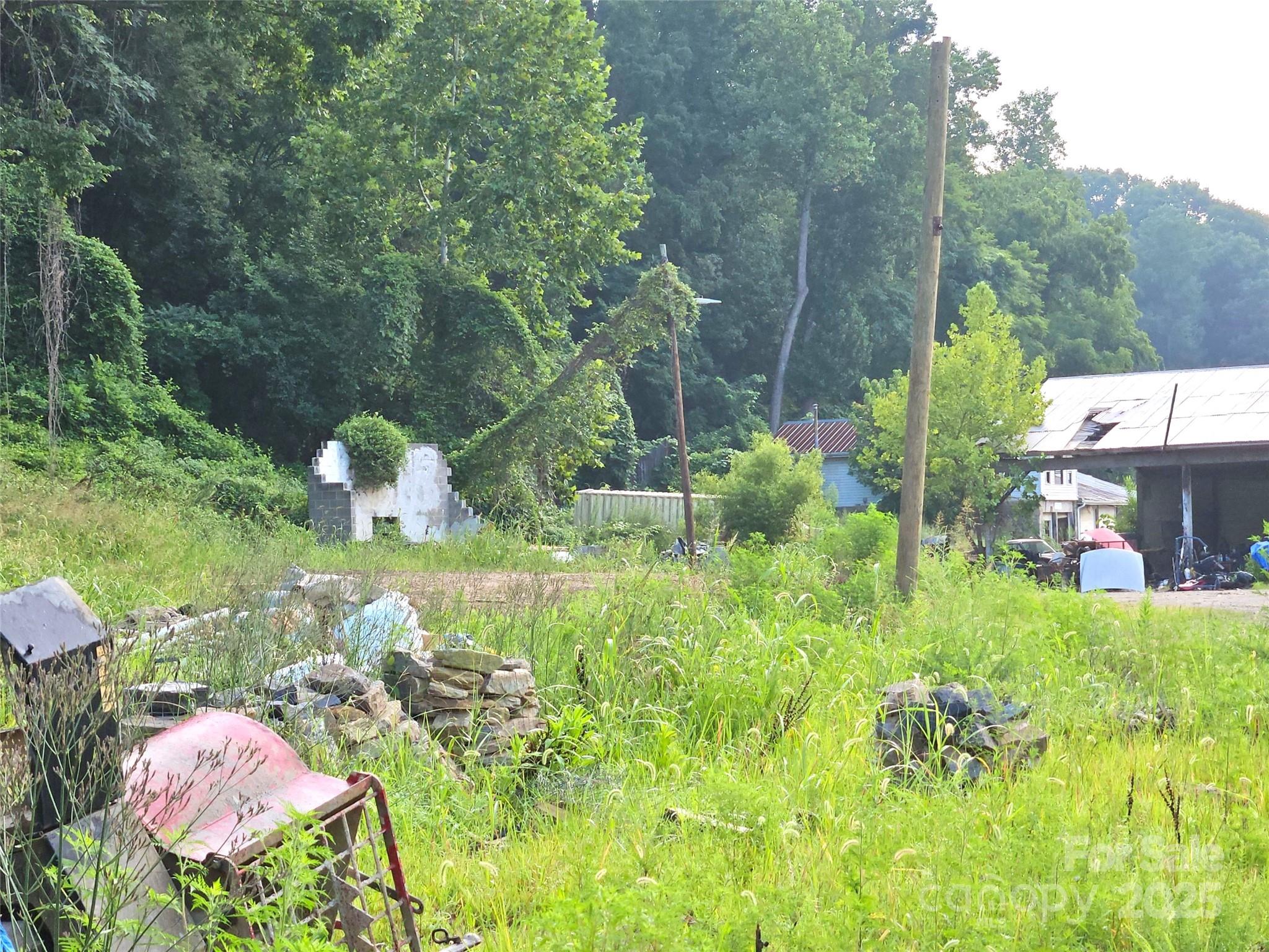 0 Swannanoa River Road Property Photo 4