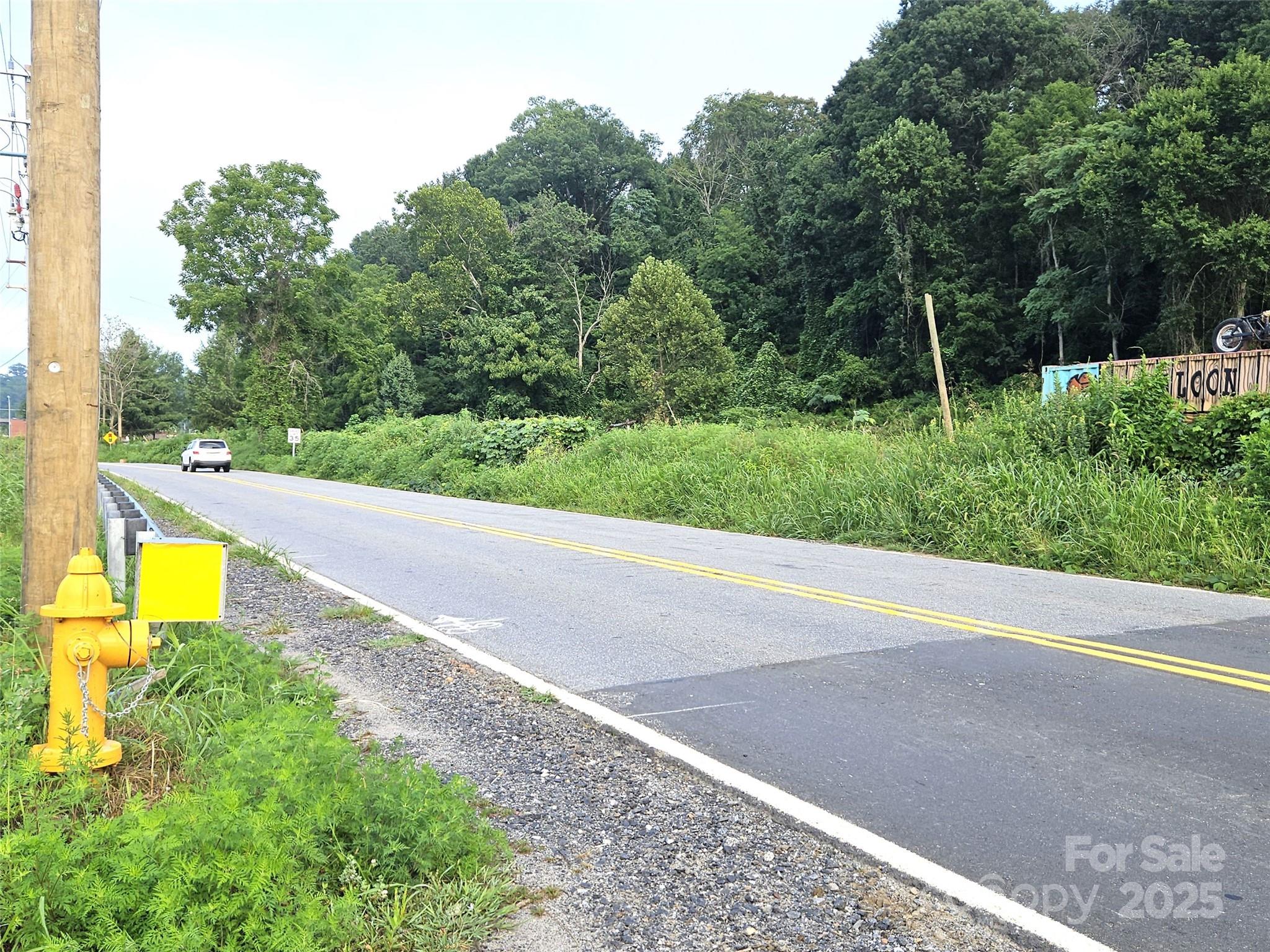 0 Swannanoa River Road Property Photo 9