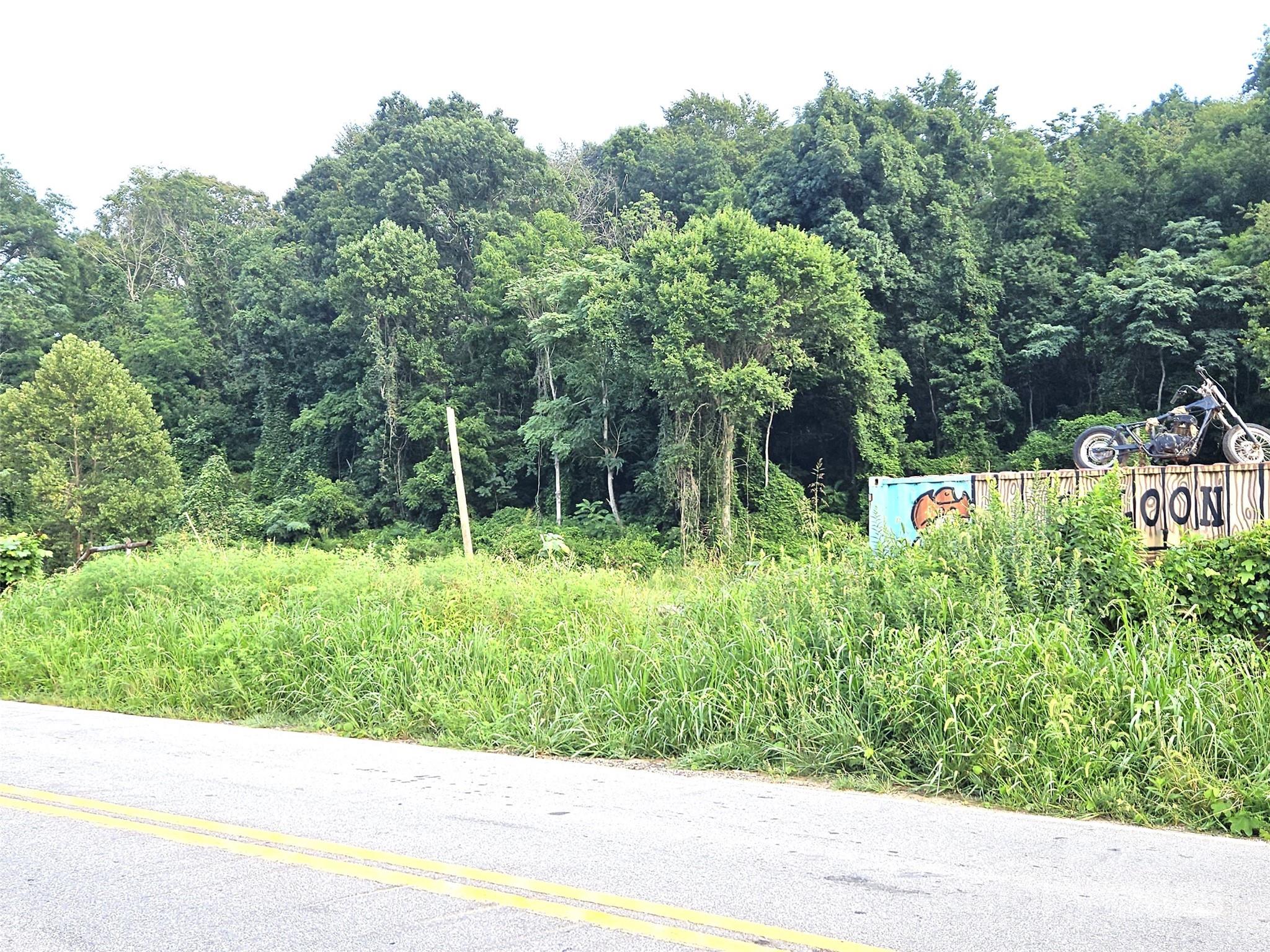 0 Swannanoa River Road Property Photo 10