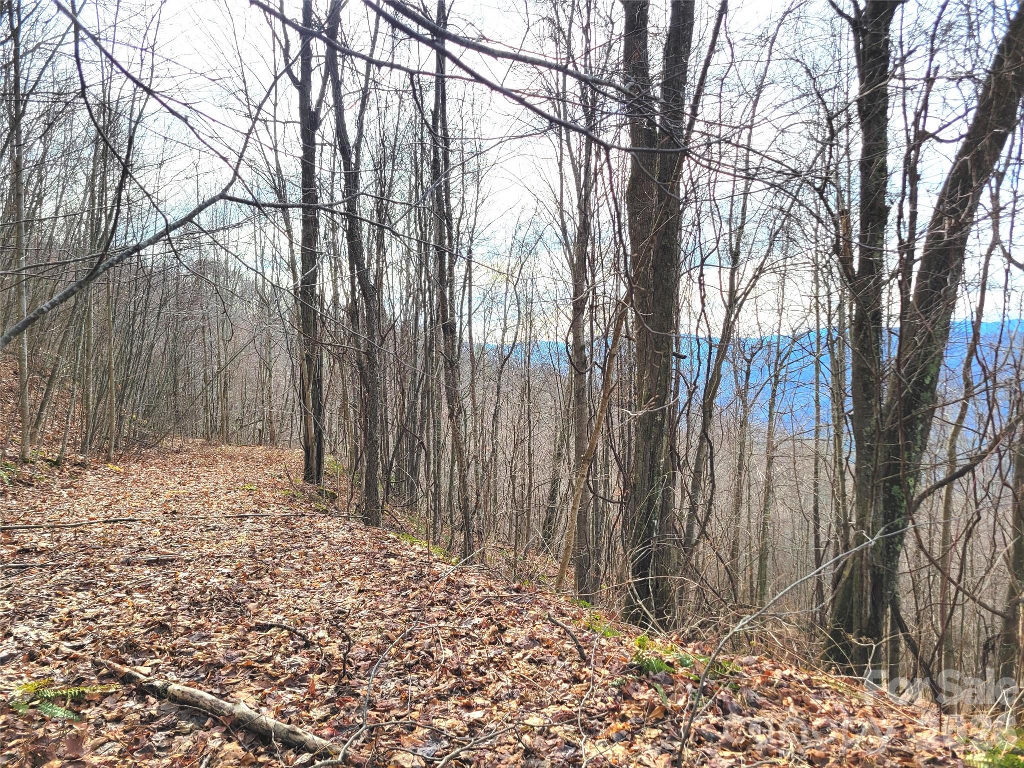 75 Rimrock Ridge I Property Photo 1