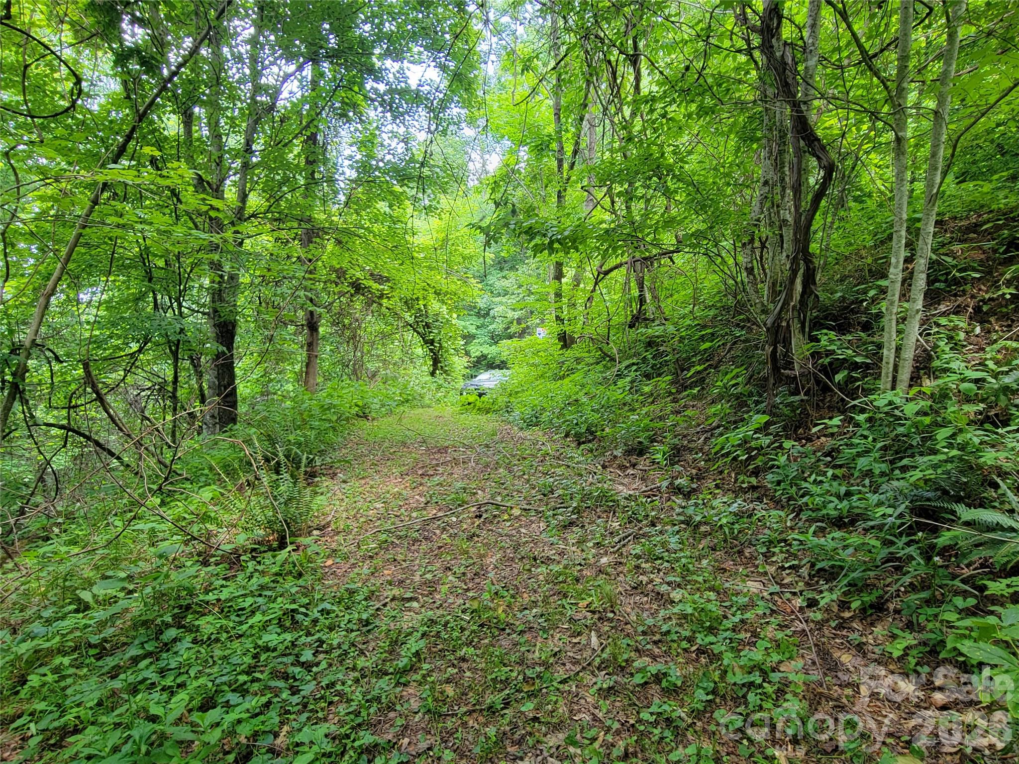 75 Rimrock Ridge I Property Photo 4