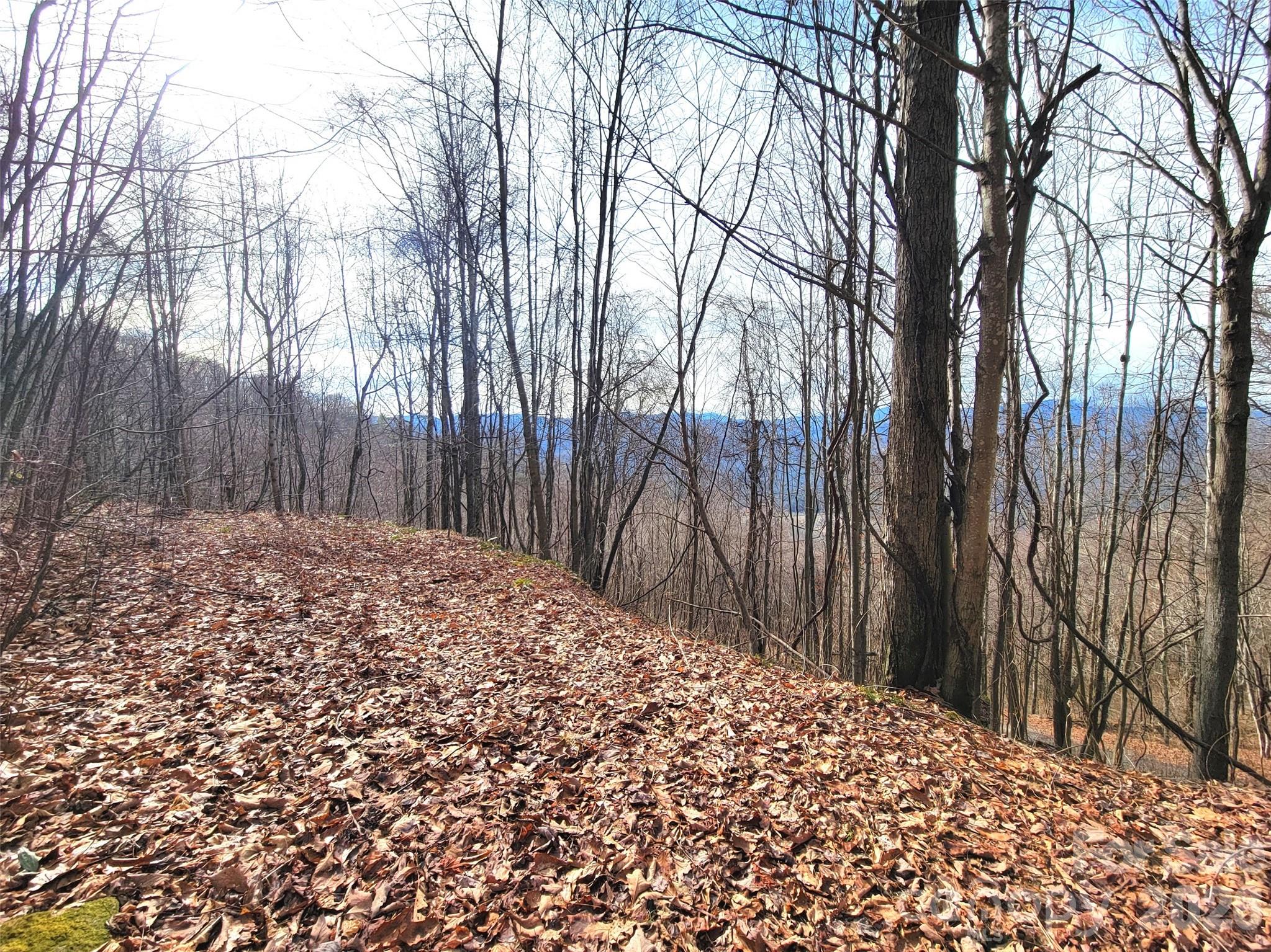 75 Rimrock Ridge I Property Photo 6
