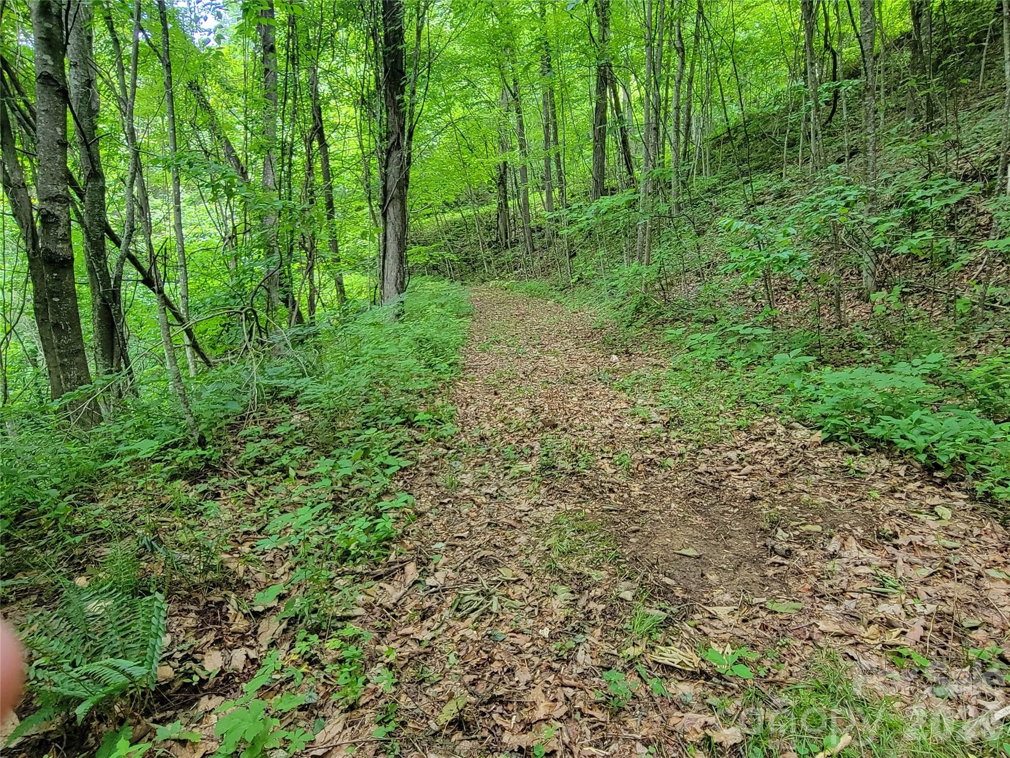 75 Rimrock Ridge I Property Photo 8