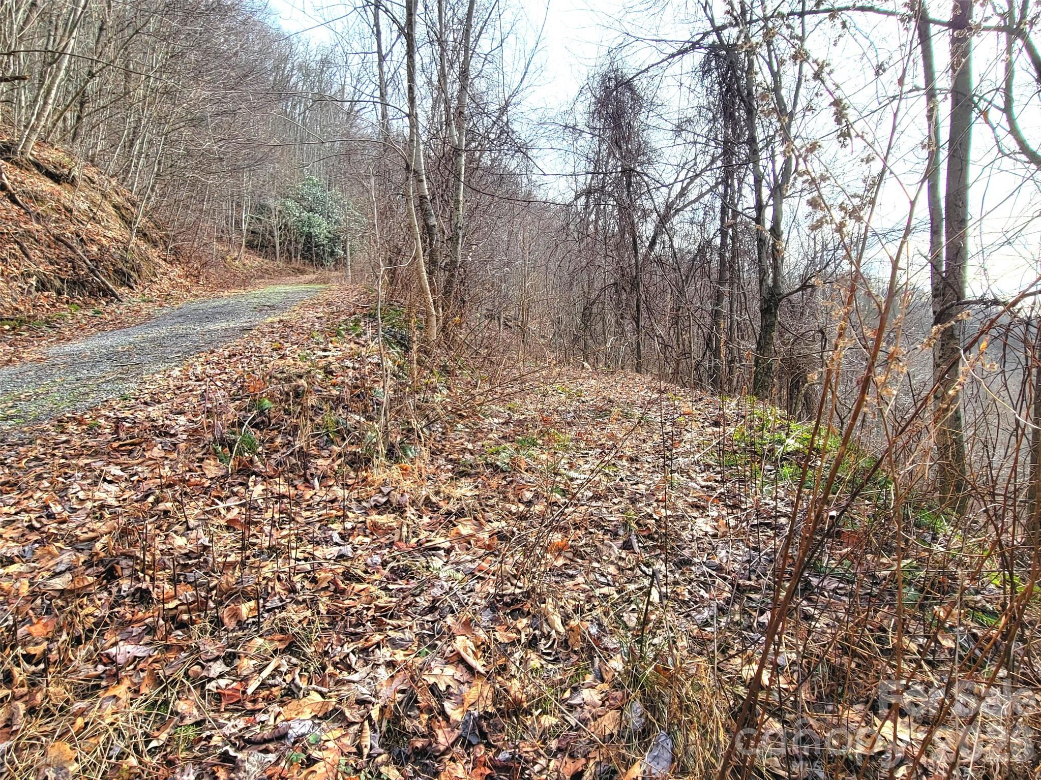 75 Rimrock Ridge I Property Photo 12