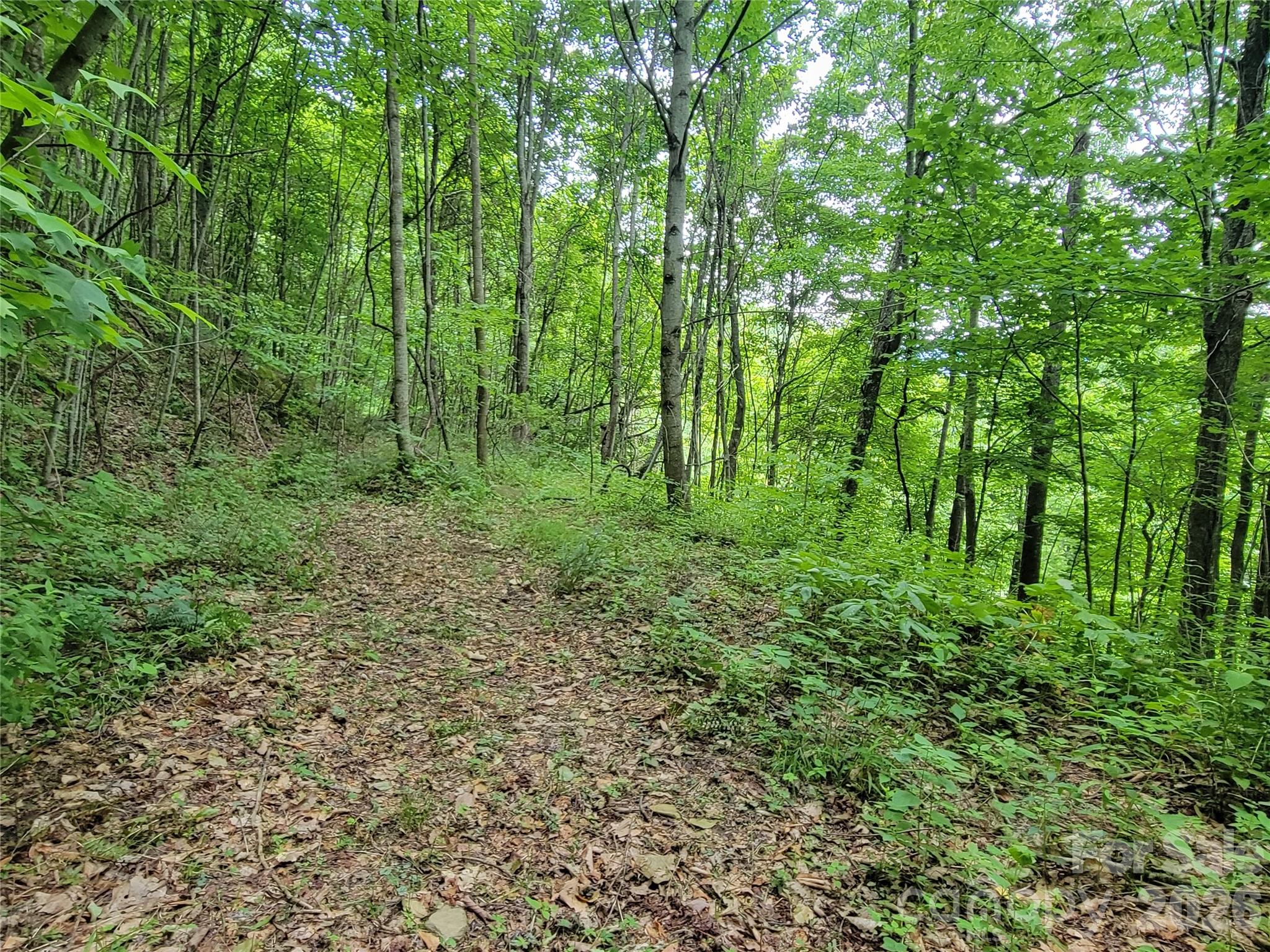 75 Rimrock Ridge I Property Photo 13